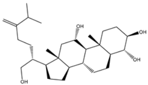 Viruses 15 00250 i014