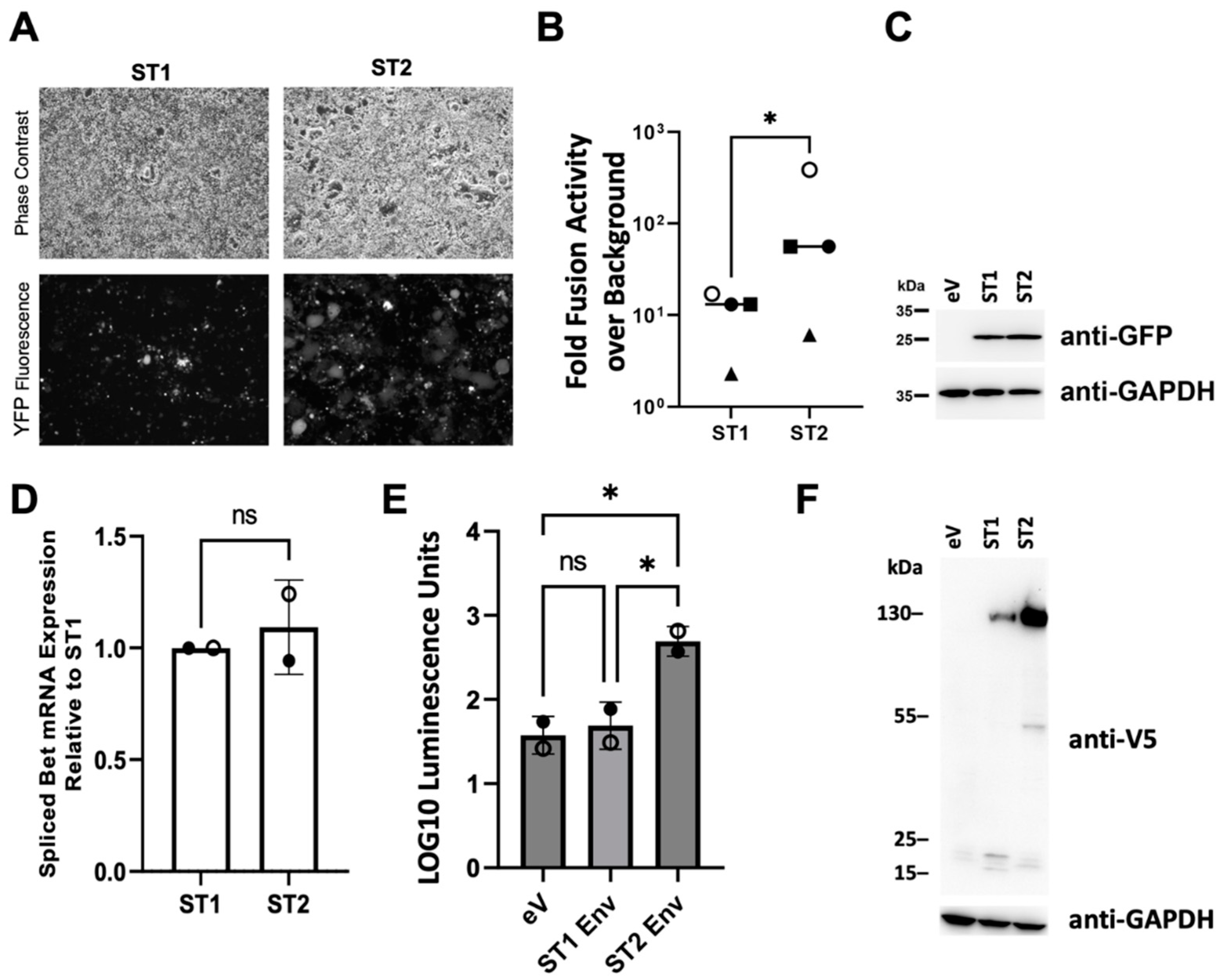 Viruses 15 00262 g003