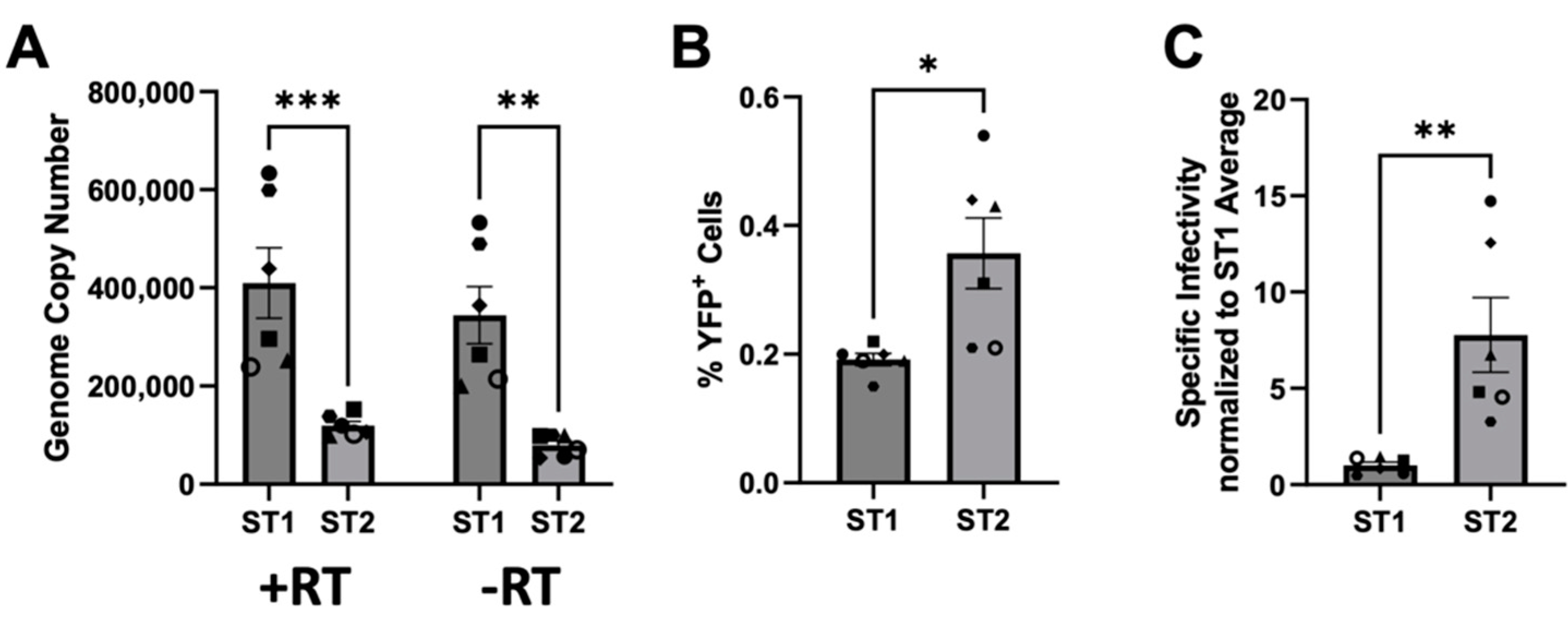 Viruses 15 00262 g006