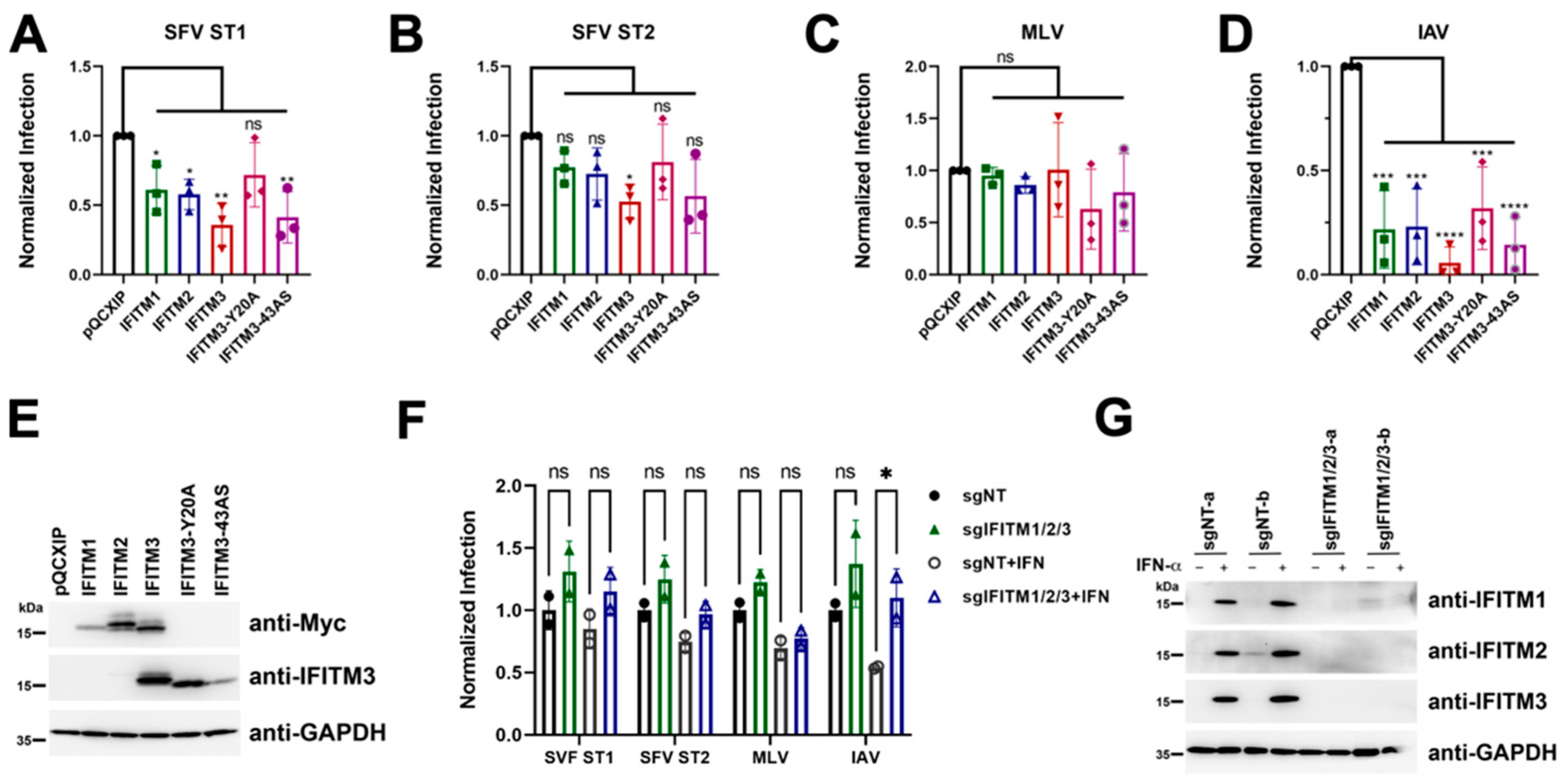 Viruses 15 00262 g007