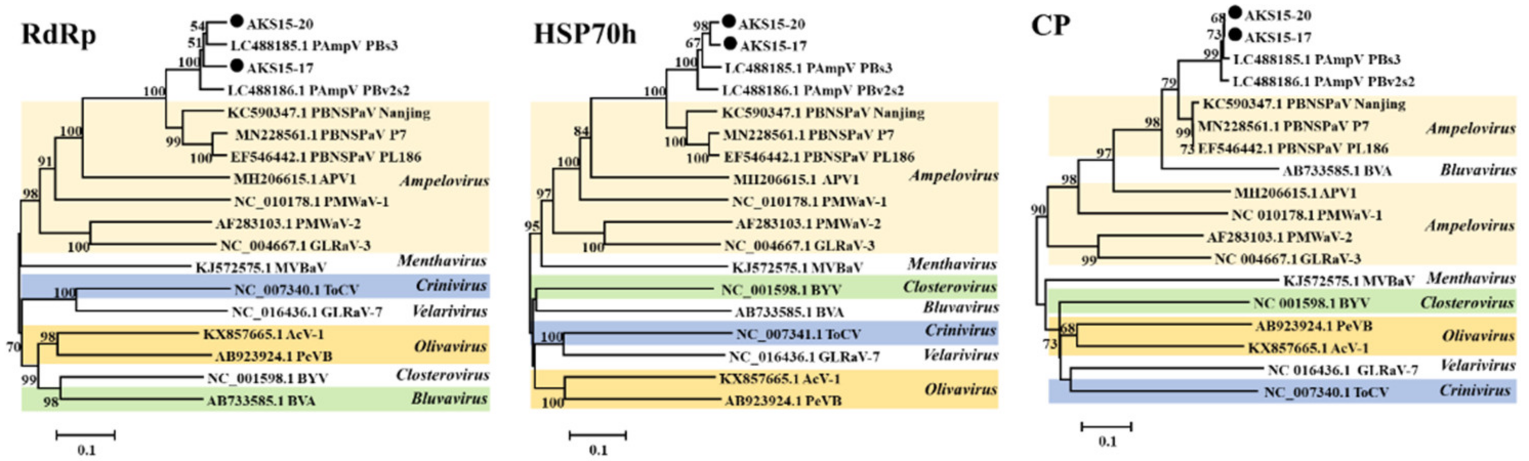 Viruses 15 00267 g003 Viruses 15 00267 g003