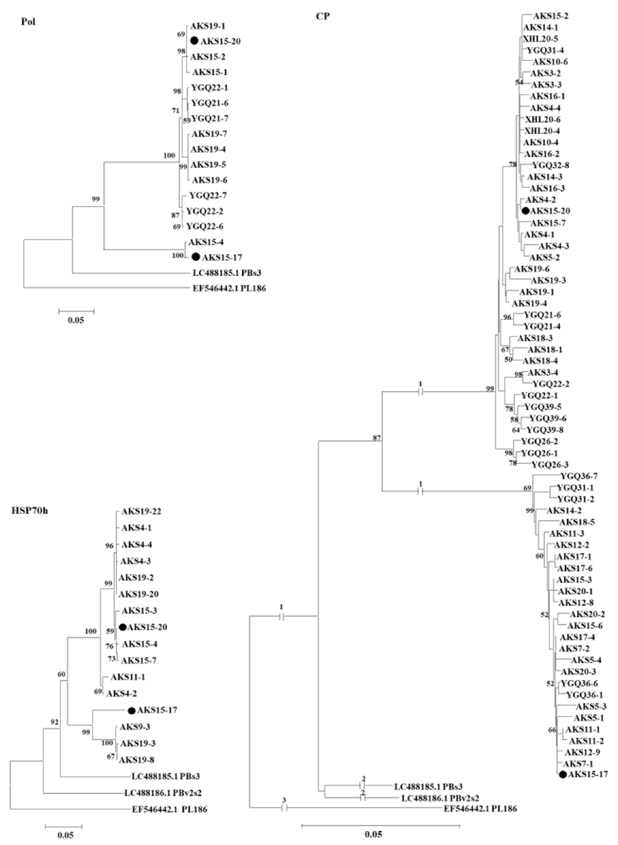 Viruses 15 00267 g004 Viruses 15 00267 g004
