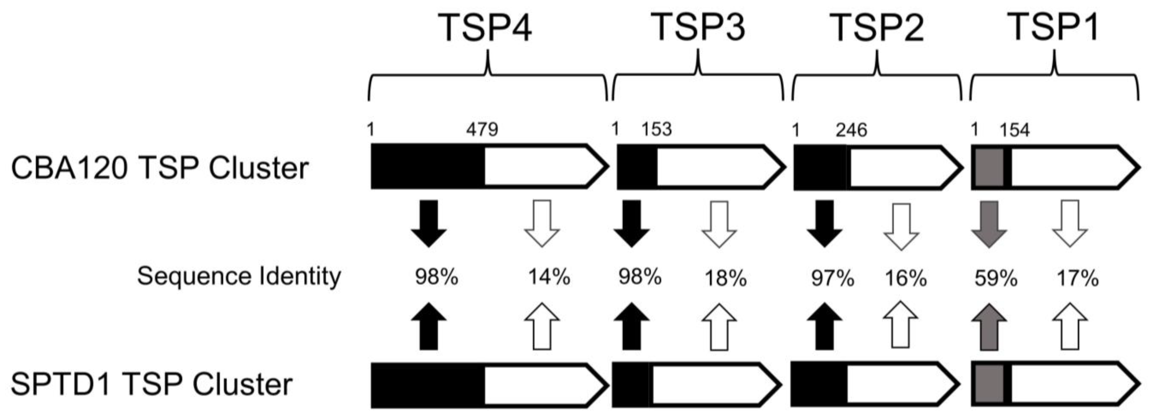 Viruses 15 00286 g001