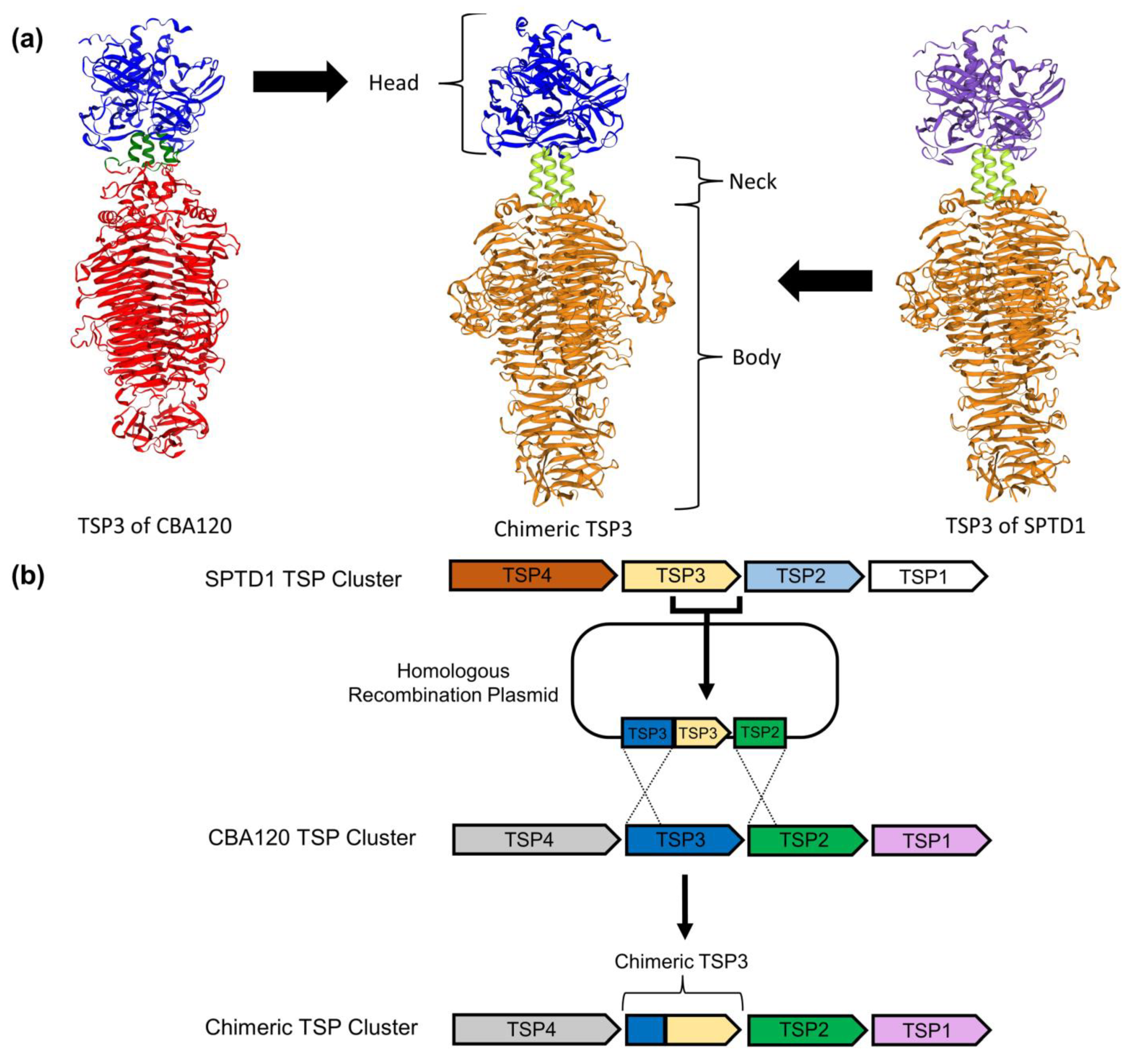 Viruses 15 00286 g002