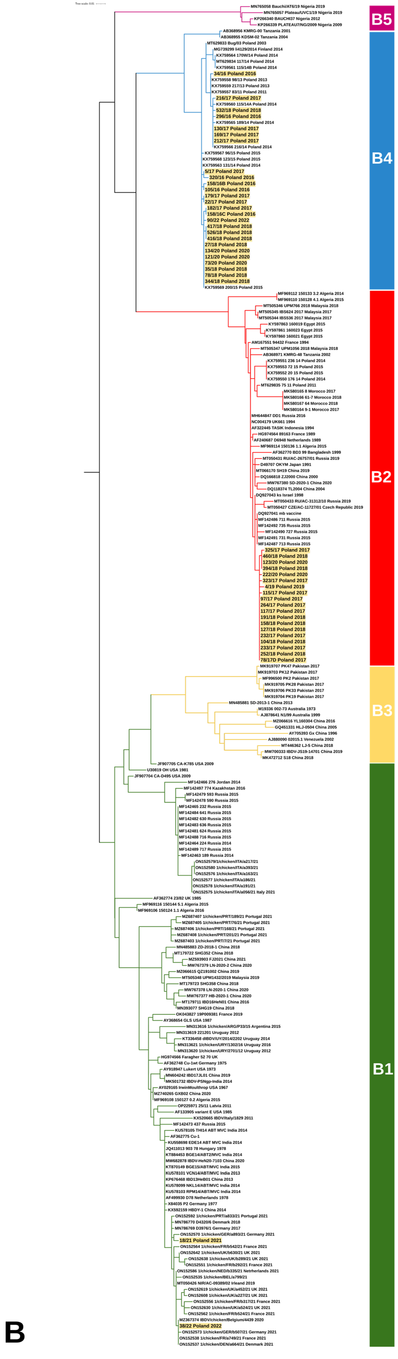 Viruses 15 00289 g001b Viruses 15 00289 g001b