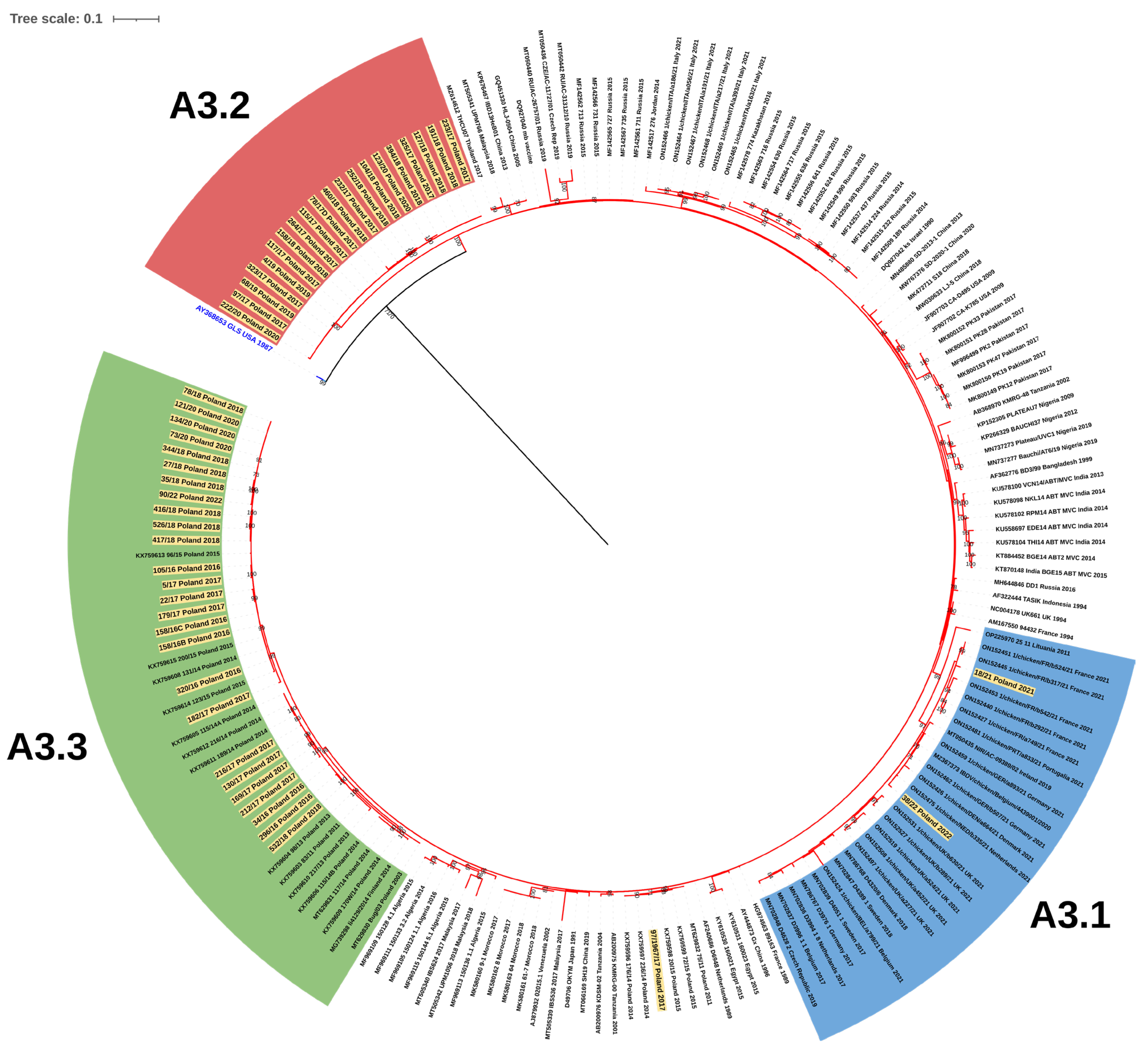 Viruses 15 00289 g003 Viruses 15 00289 g003