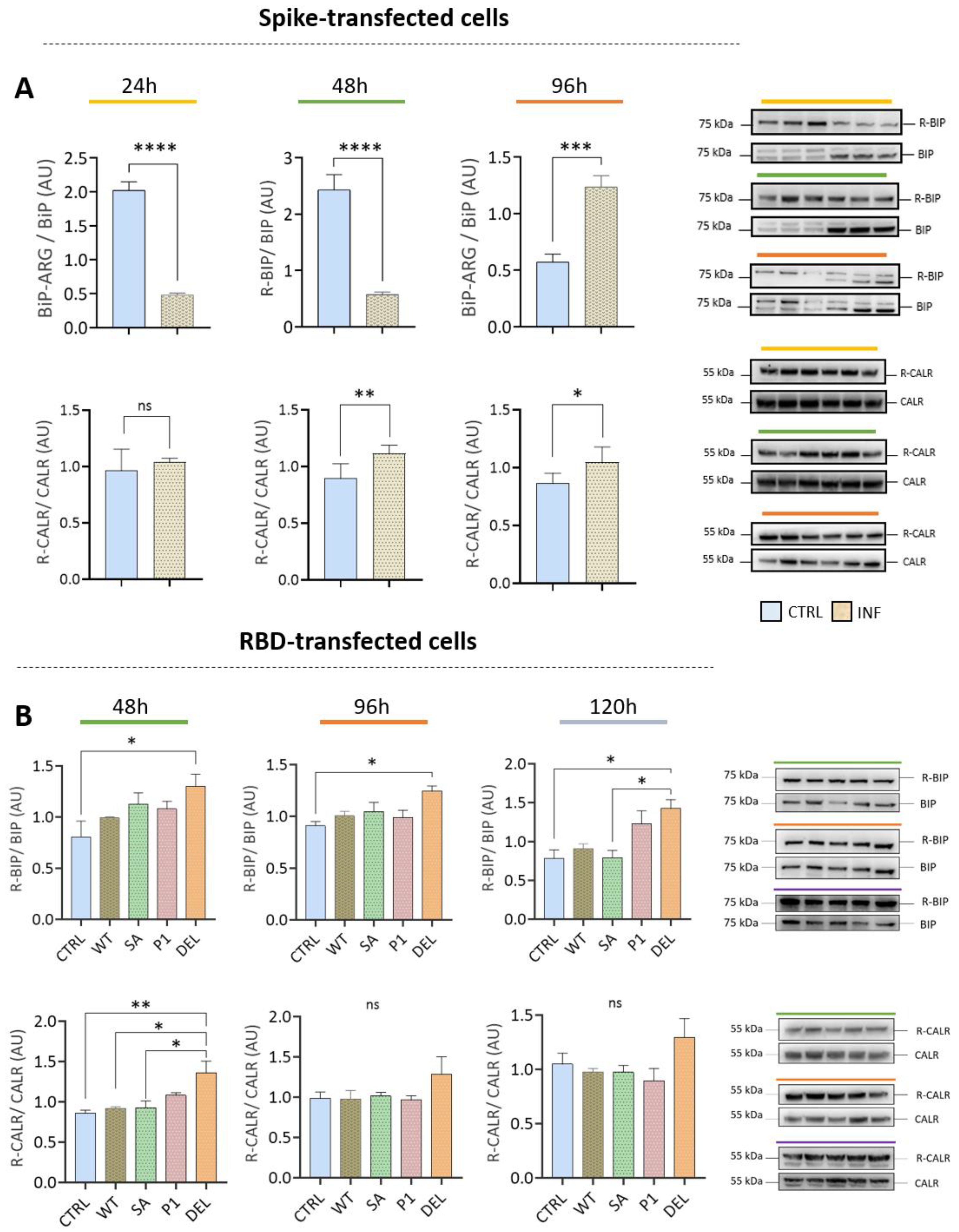 Viruses 15 00290 g006
