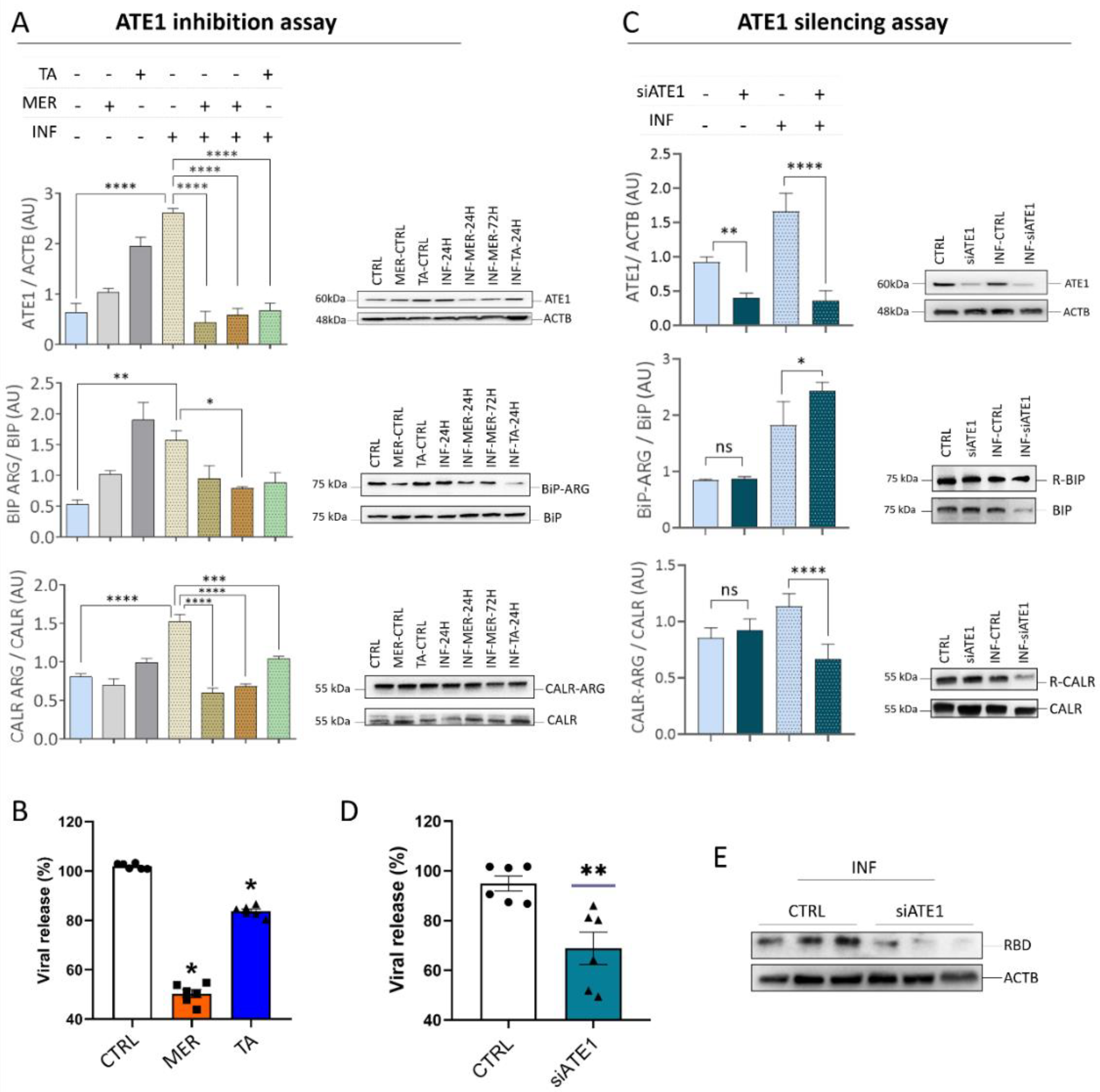 Viruses 15 00290 g007