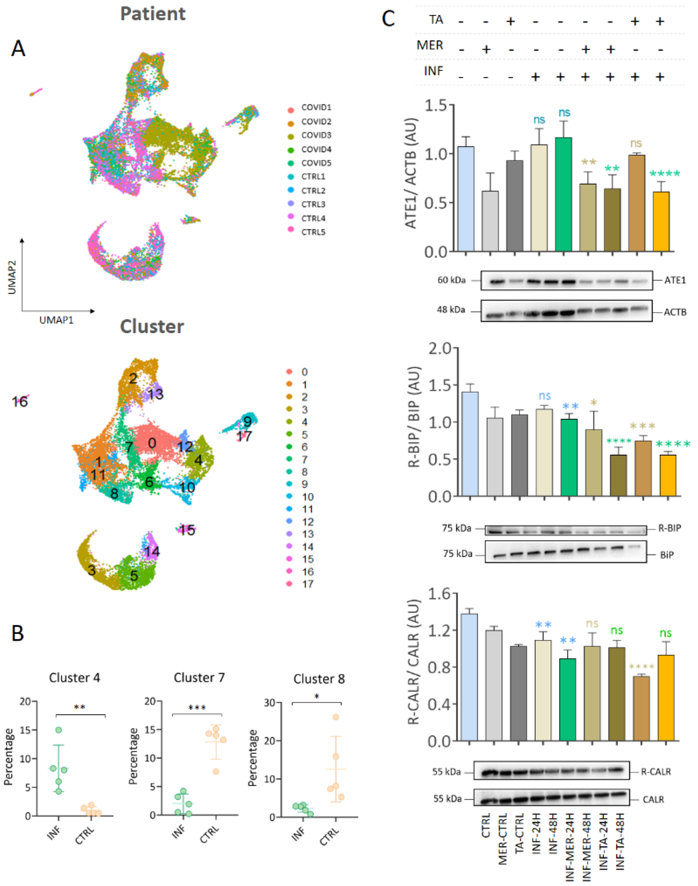 Viruses 15 00290 g008