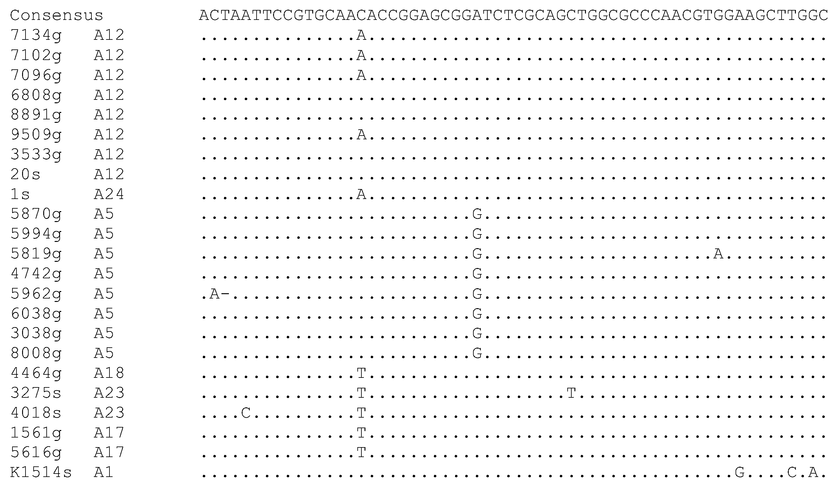 Viruses 15 00302 g002c Viruses 15 00302 g002c