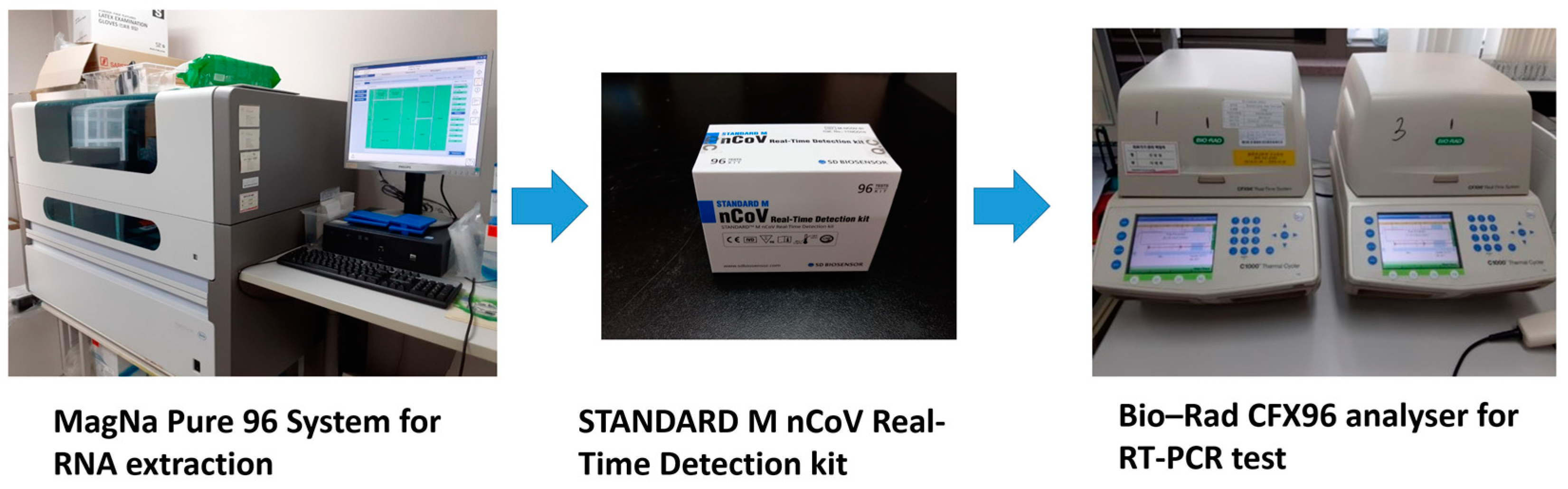 Viruses | Free Full-Text | Comparison of the Diagnostic Performance of Deep  Learning Algorithms for Reducing the Time Required for COVID-19  RT–PCR Testing