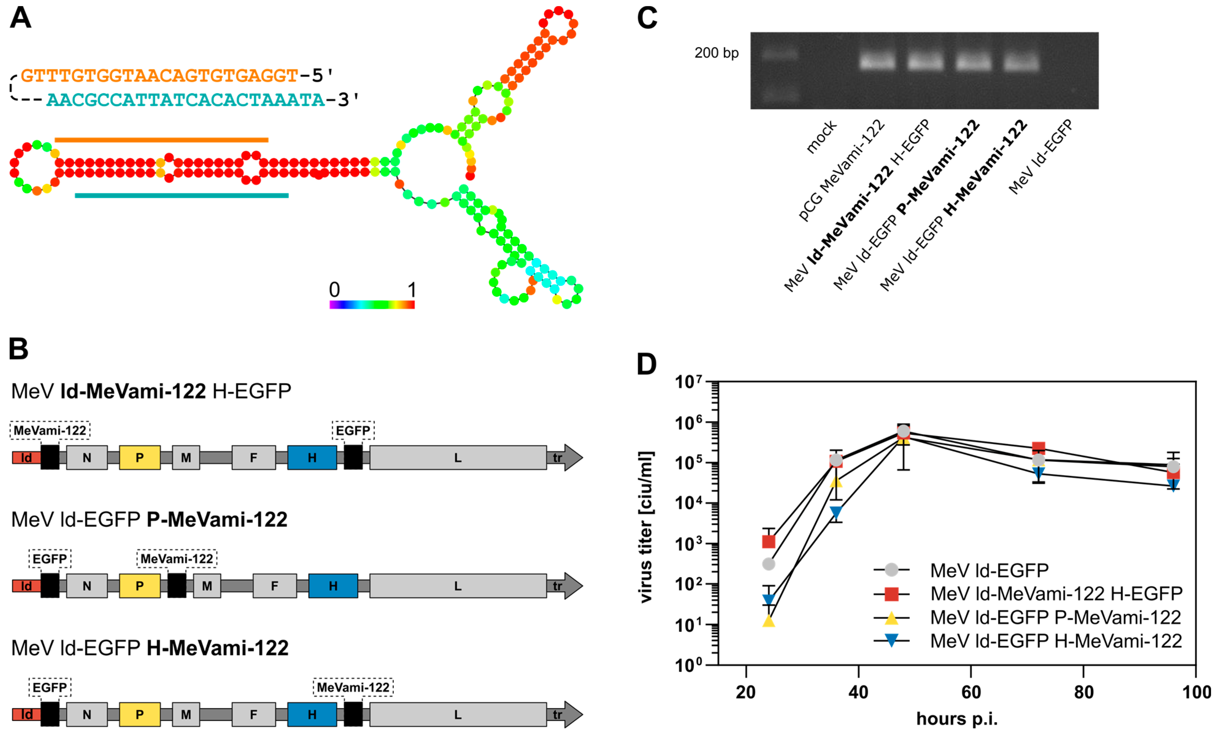 Viruses 15 00308 g001