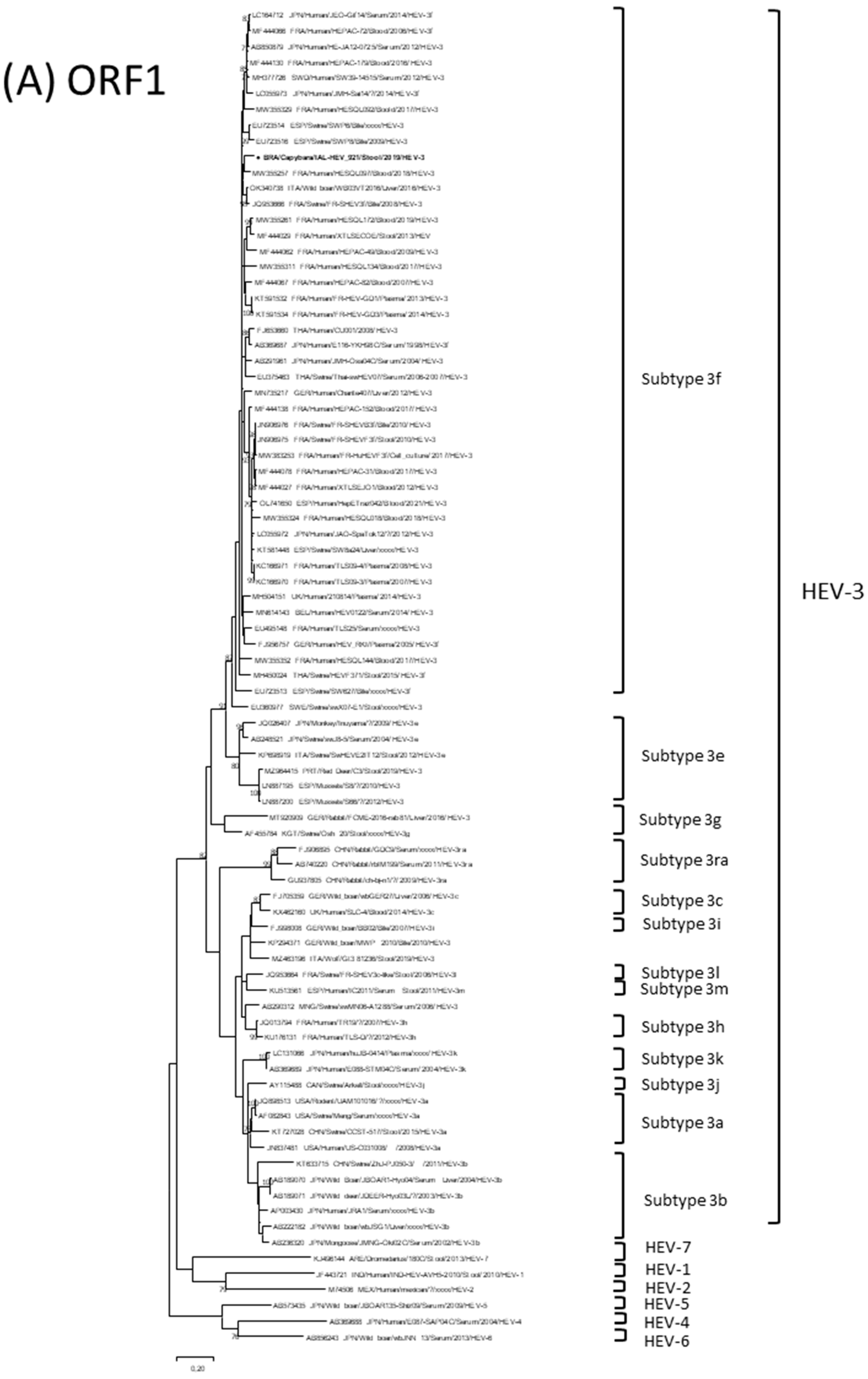 Viruses 15 00335 g001a Viruses 15 00335 g001a