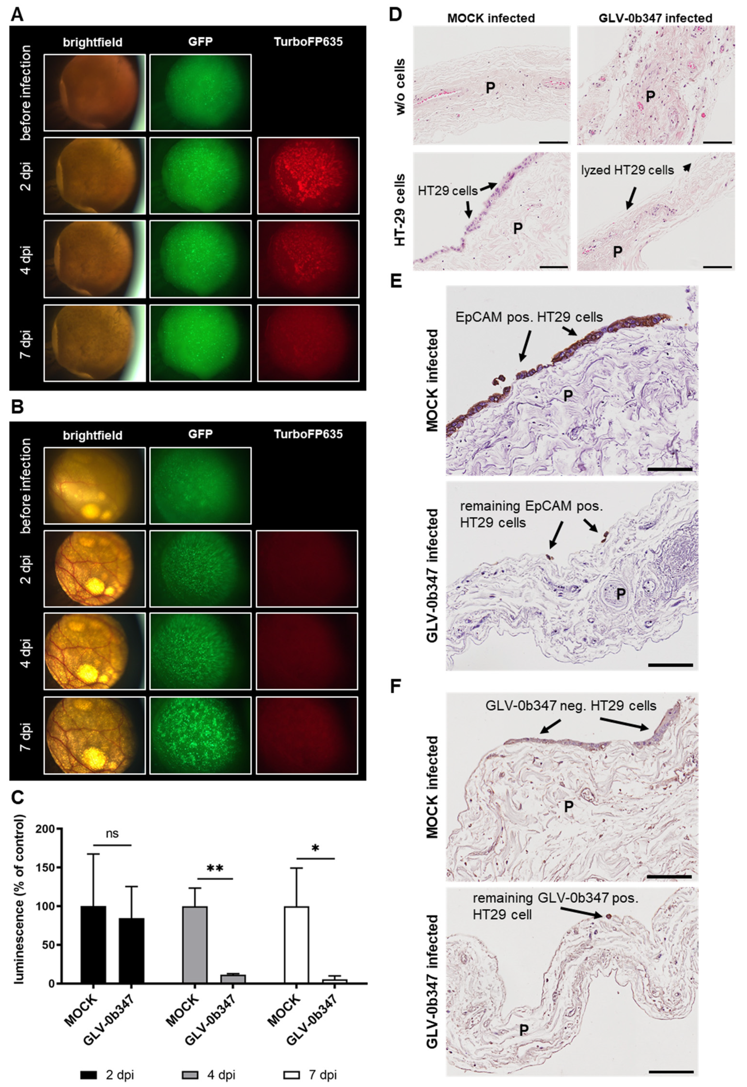 Viruses 15 00363 g005