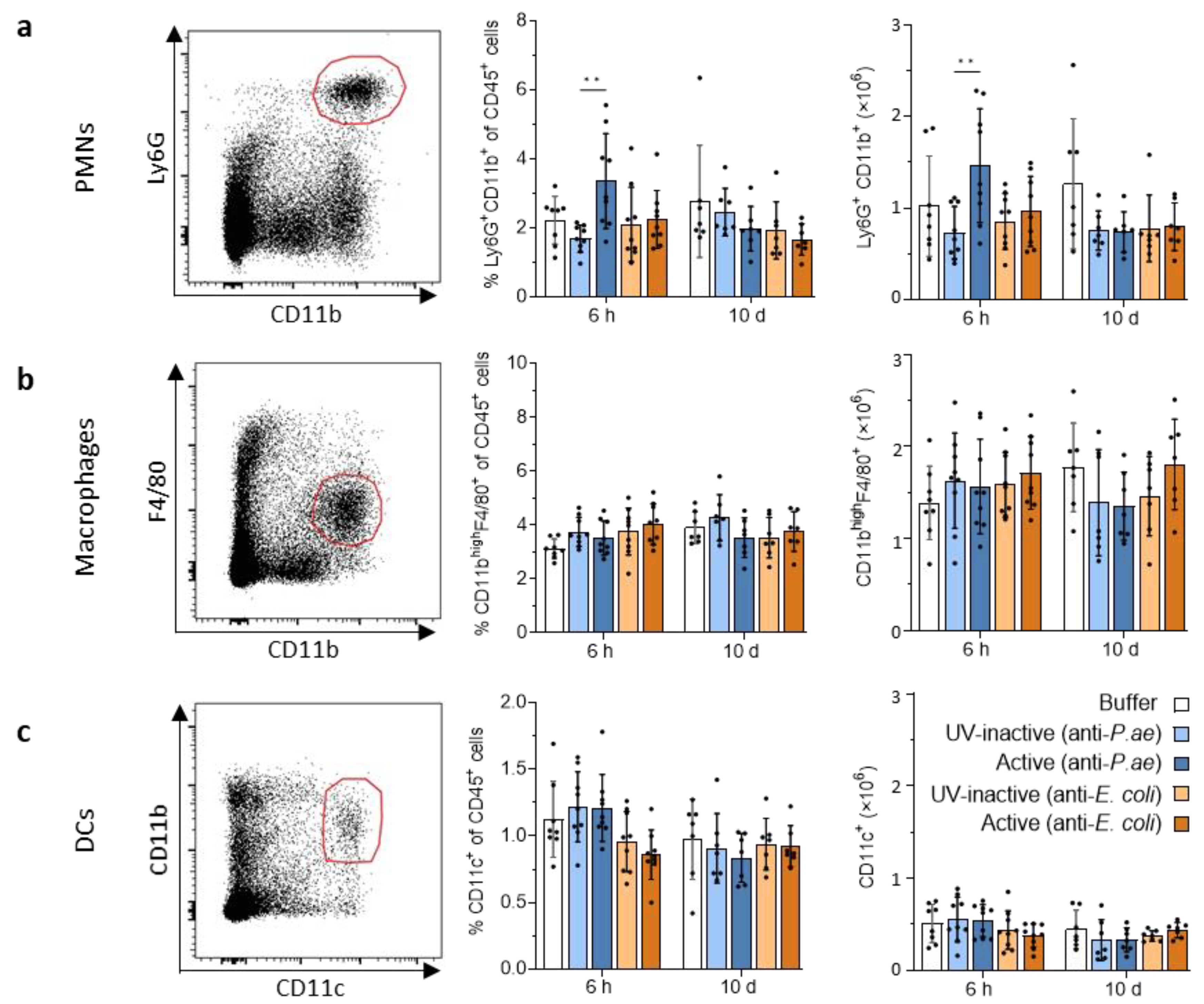 Viruses 15 00387 g003 Viruses 15 00387 g003