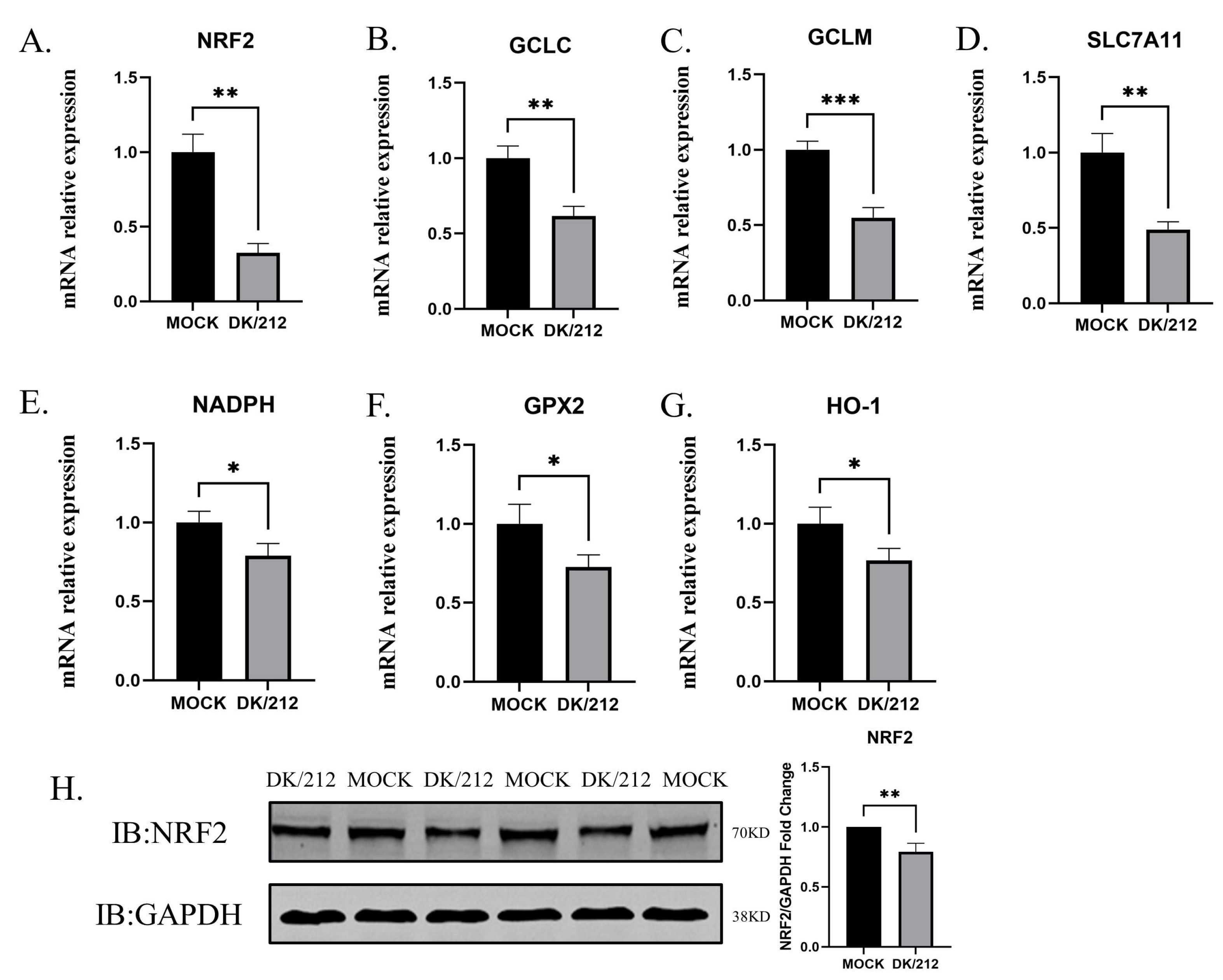 Viruses 15 00391 g002