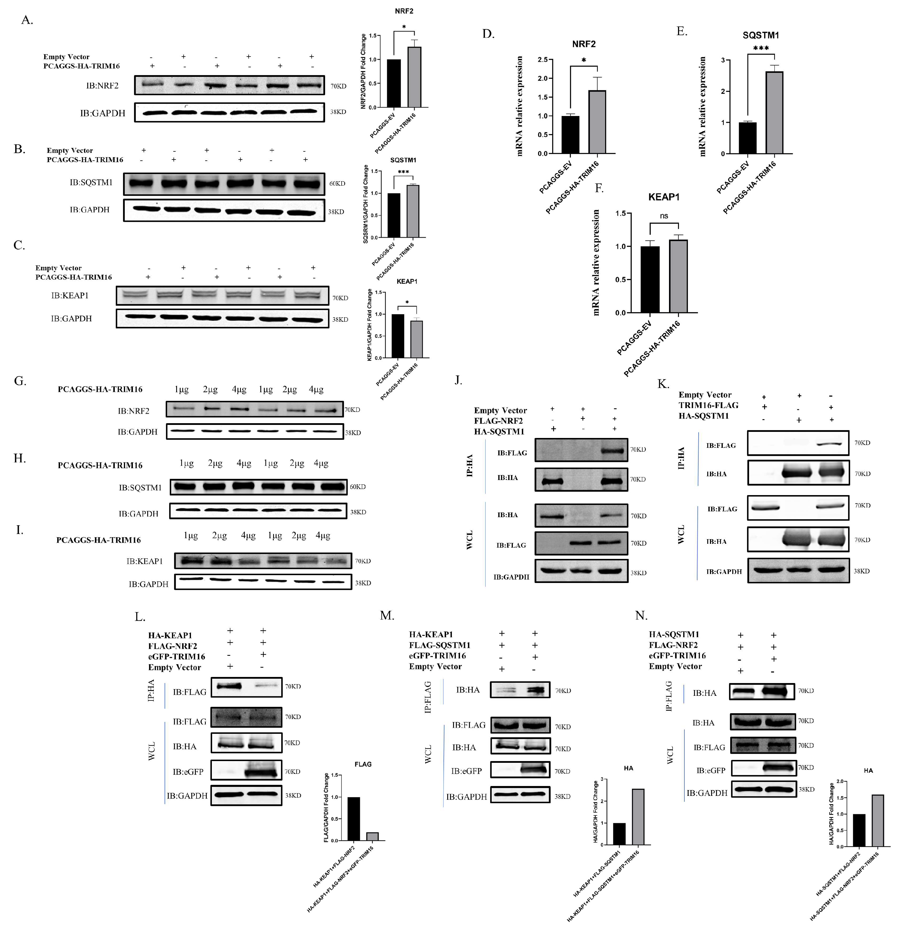 Viruses 15 00391 g006