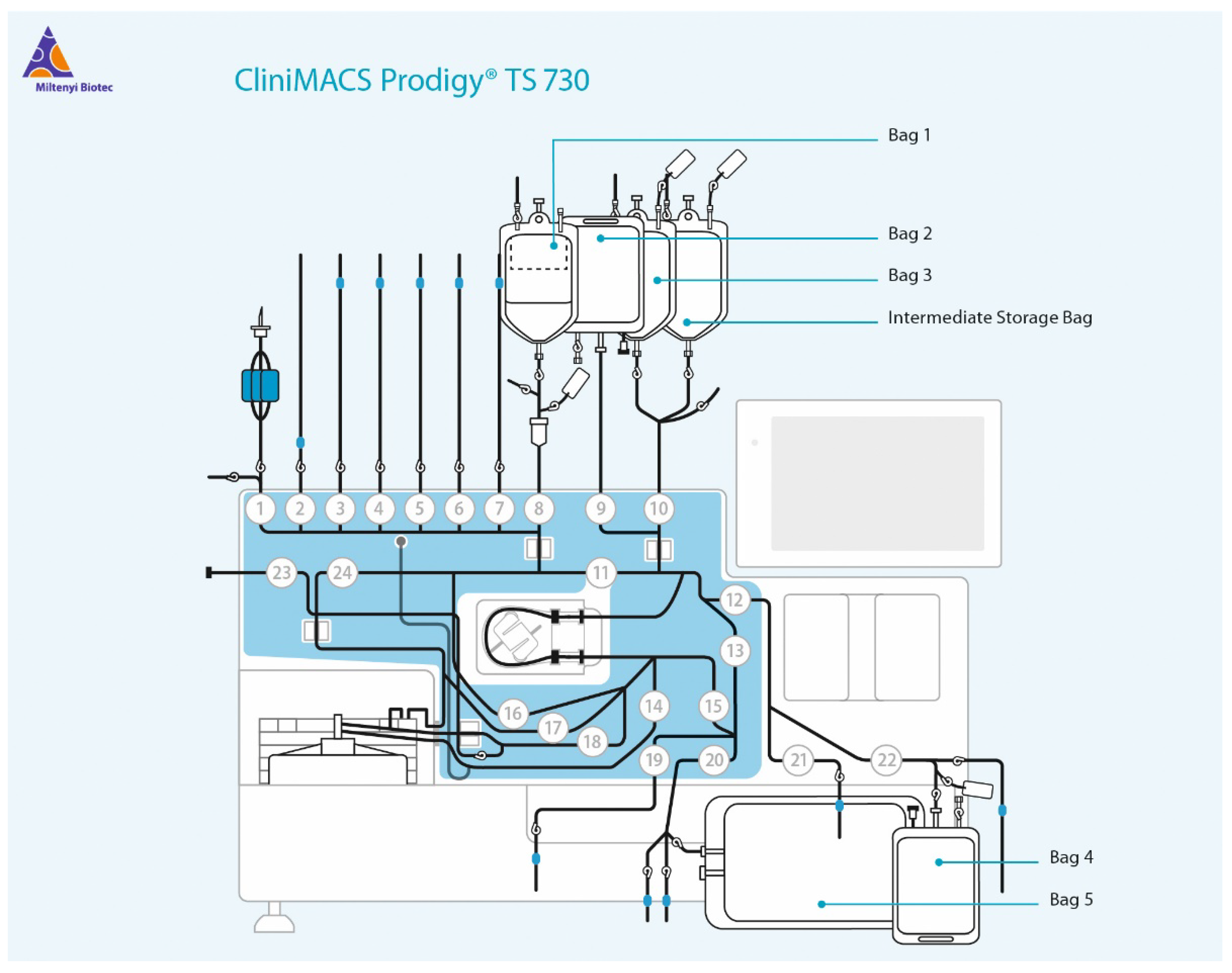 Viruses 15 00397 g0a1