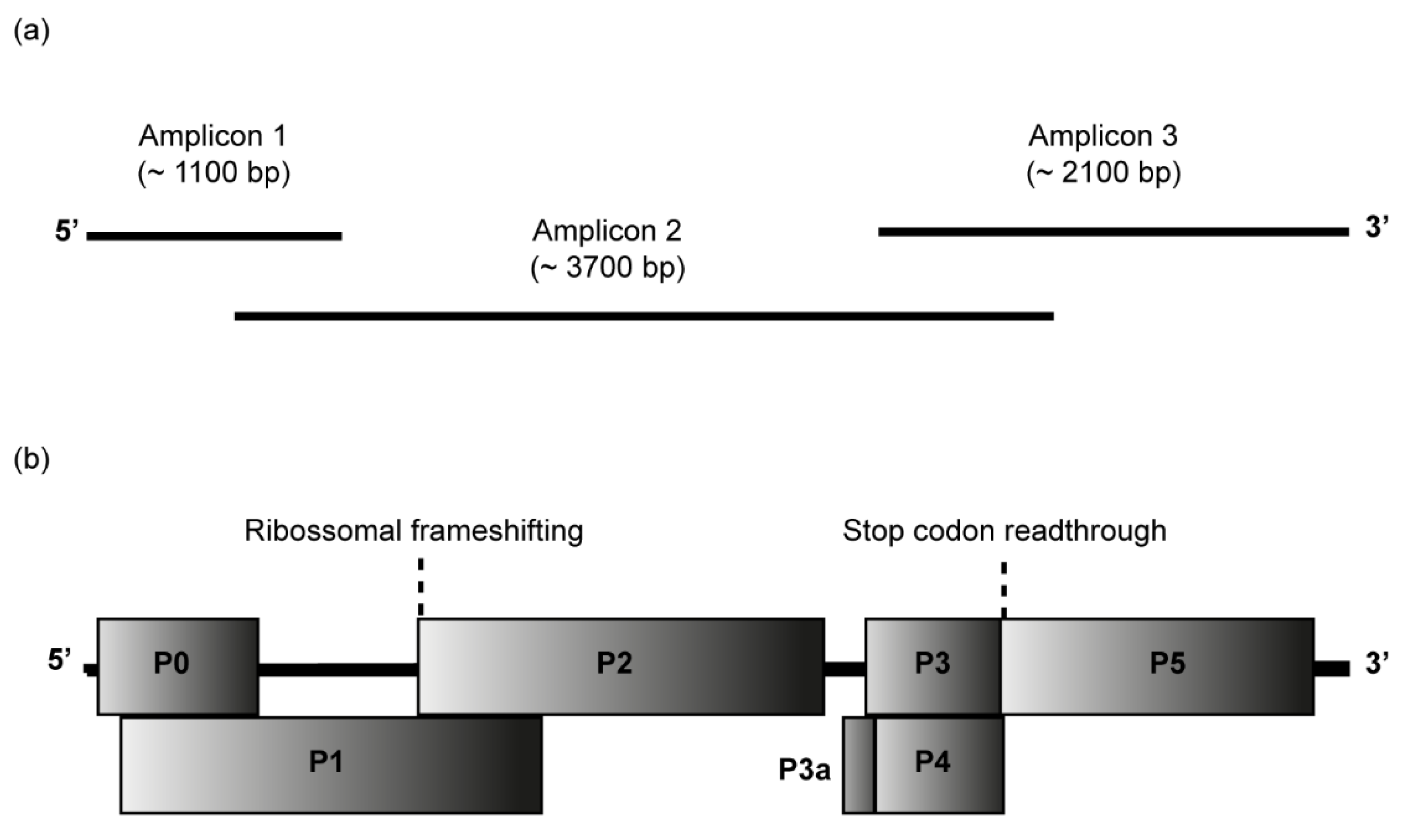 Viruses 15 00410 g002