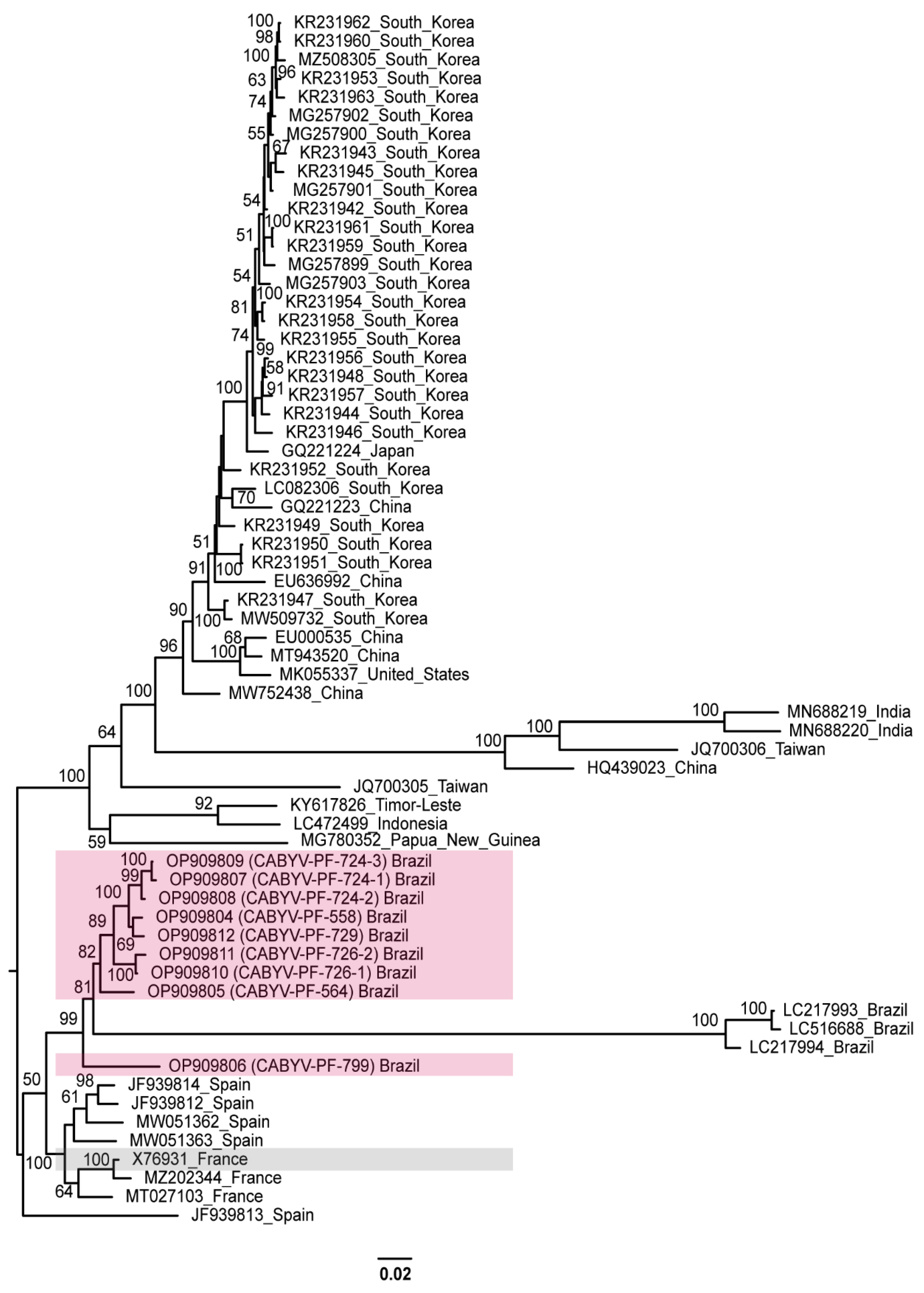 Viruses 15 00410 g003