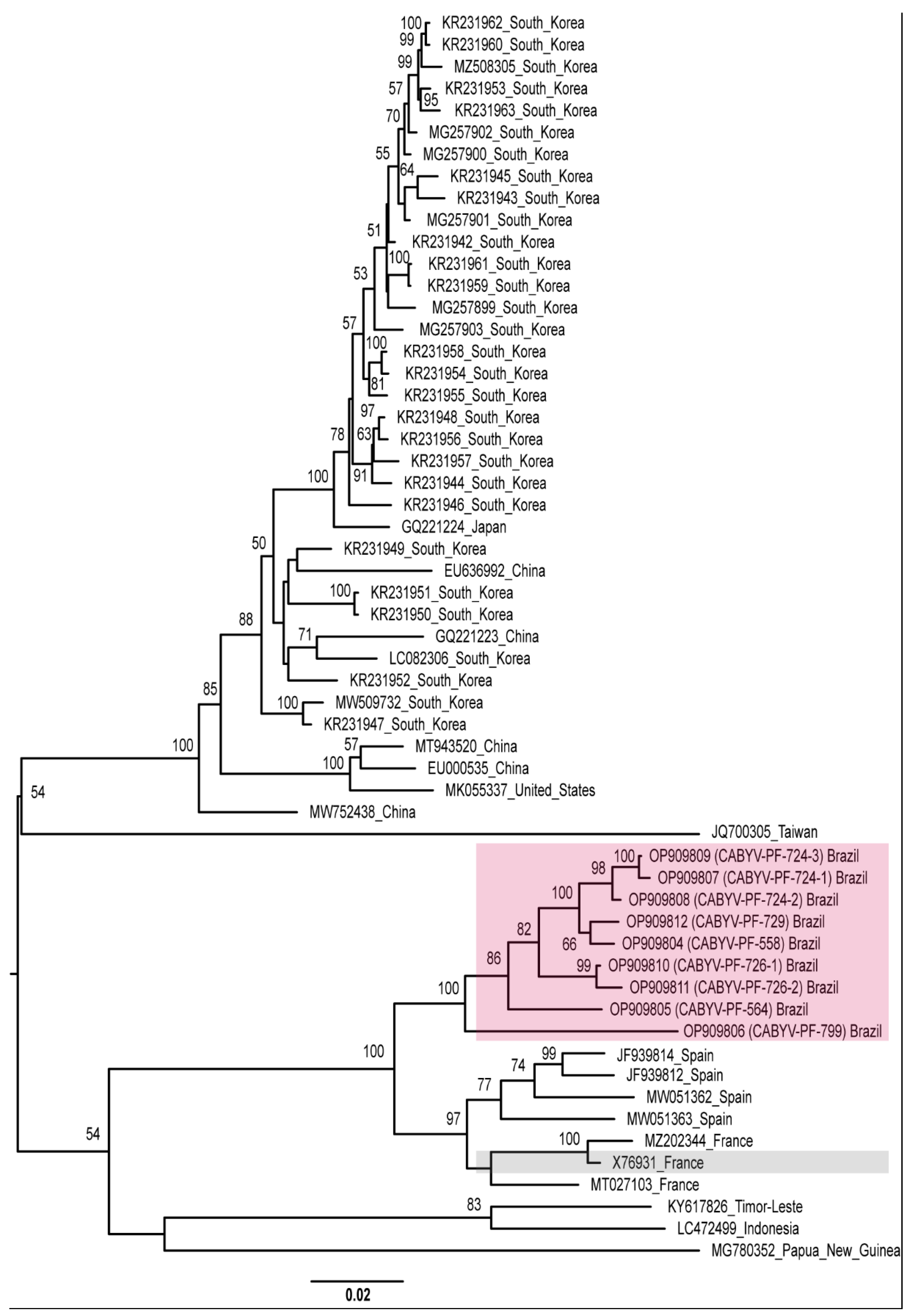Viruses 15 00410 g004
