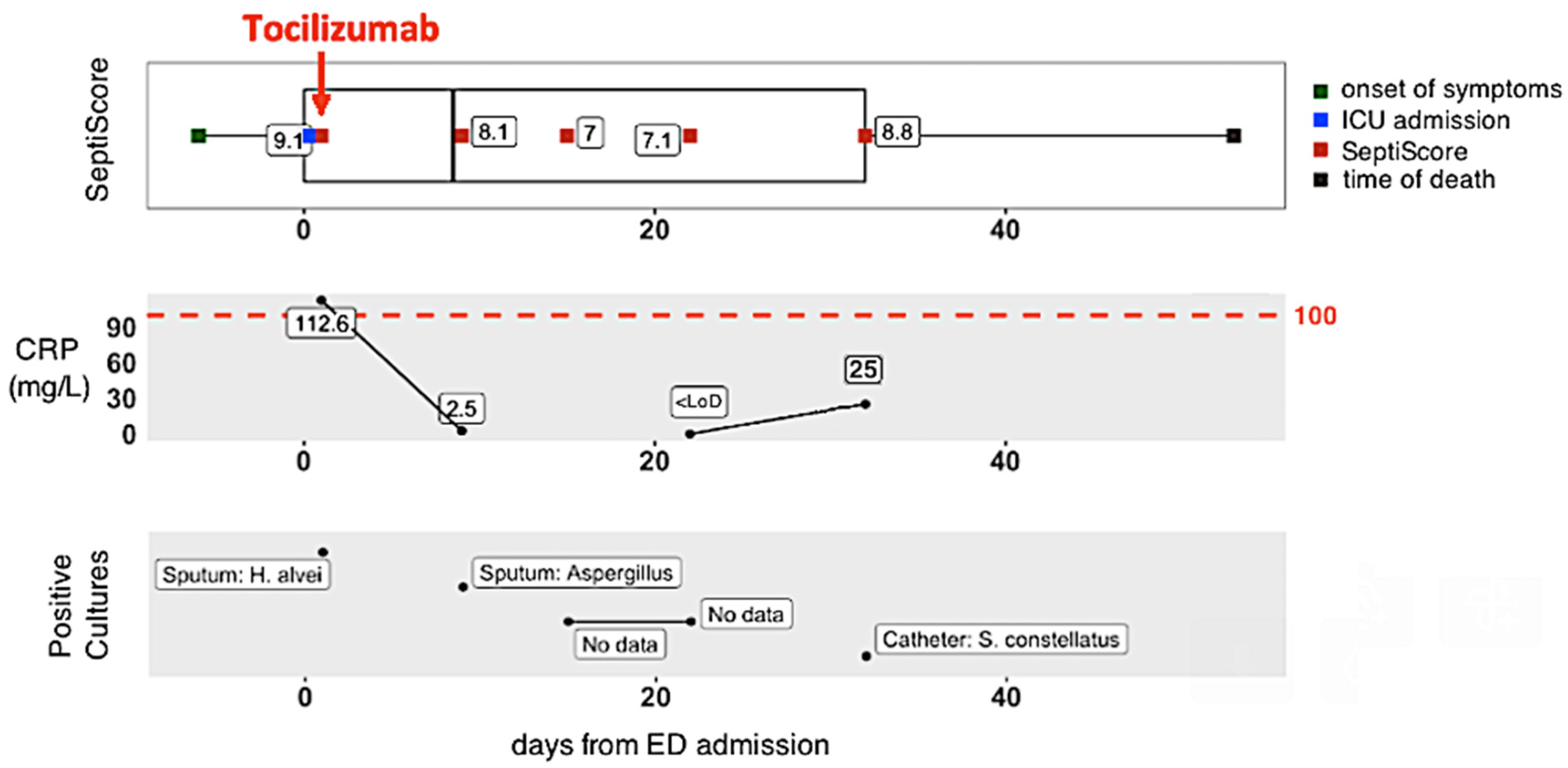 Viruses 15 00419 g005