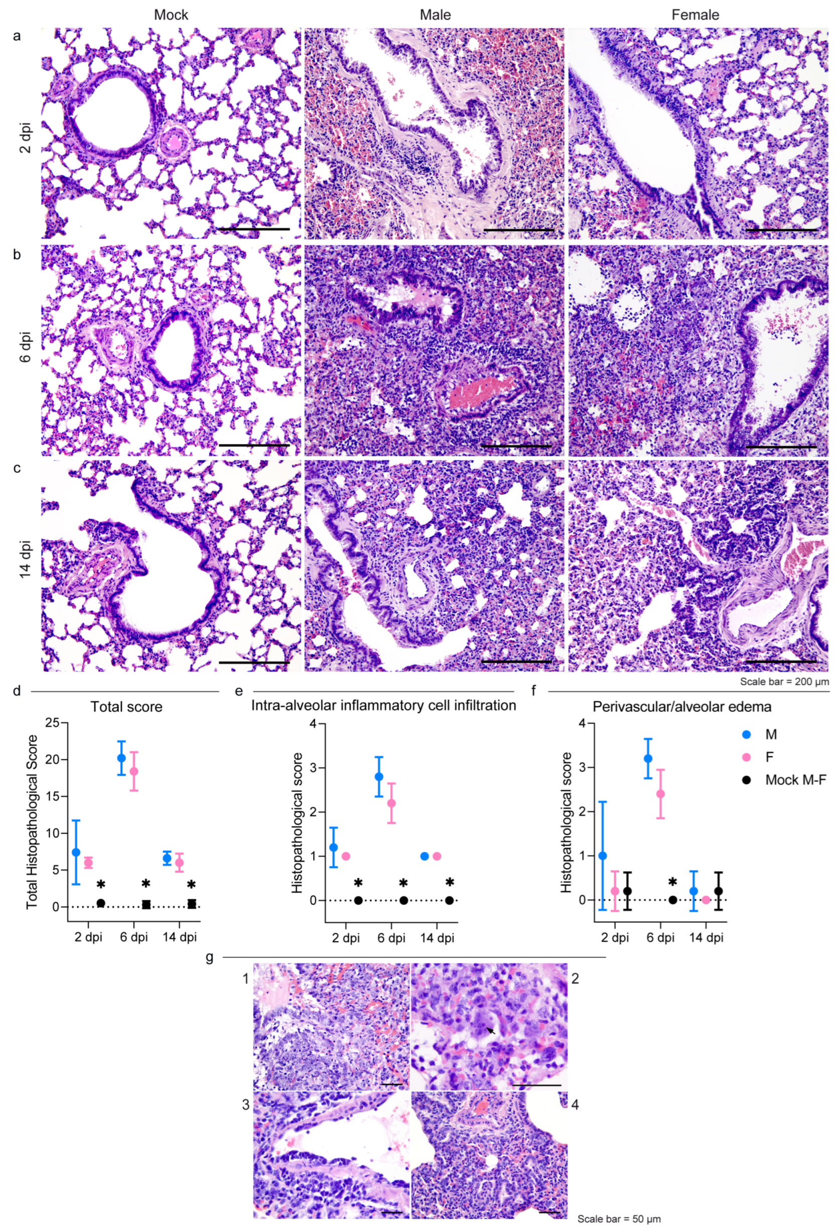 Viruses 15 00428 g002
