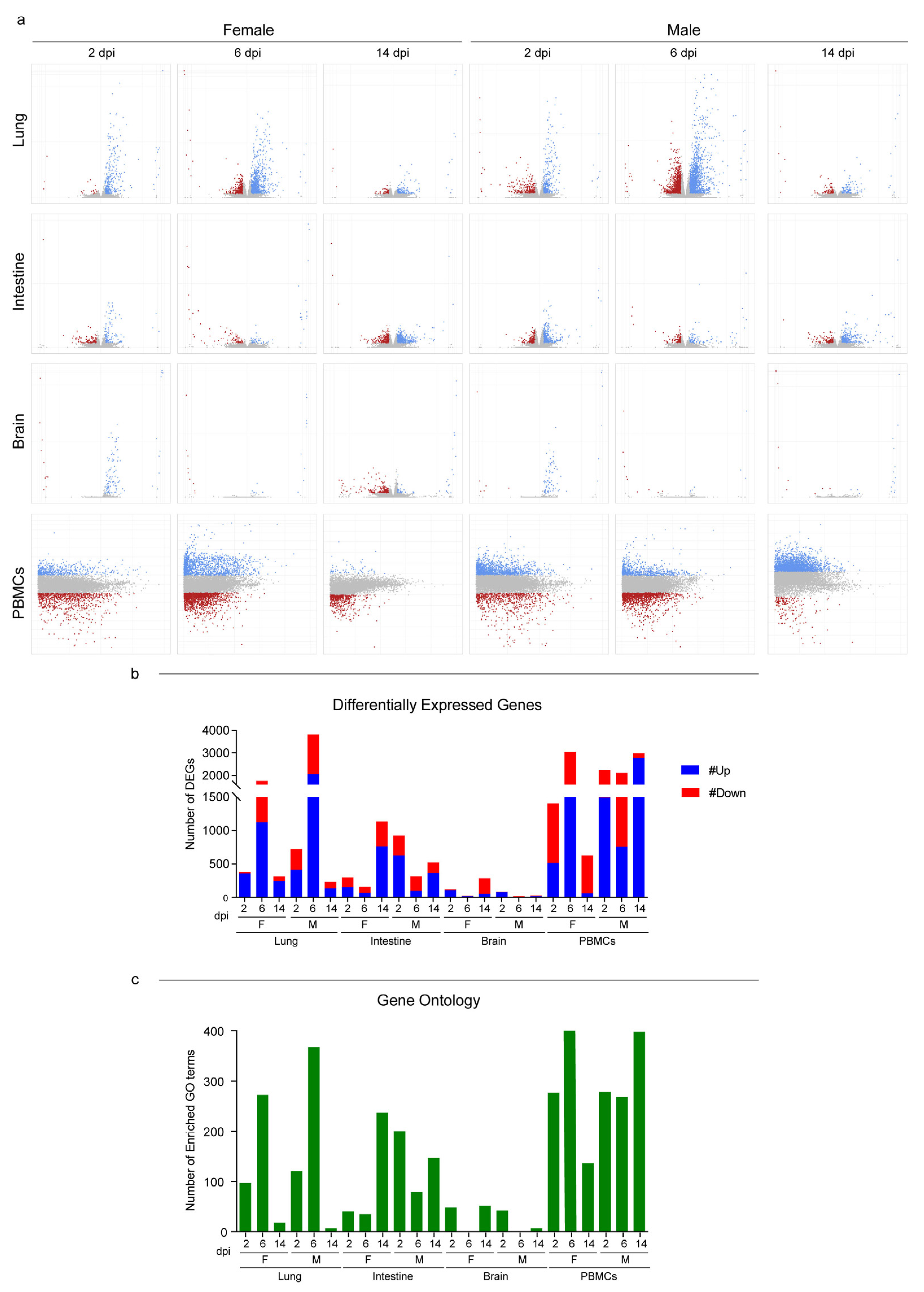 Viruses 15 00428 g003