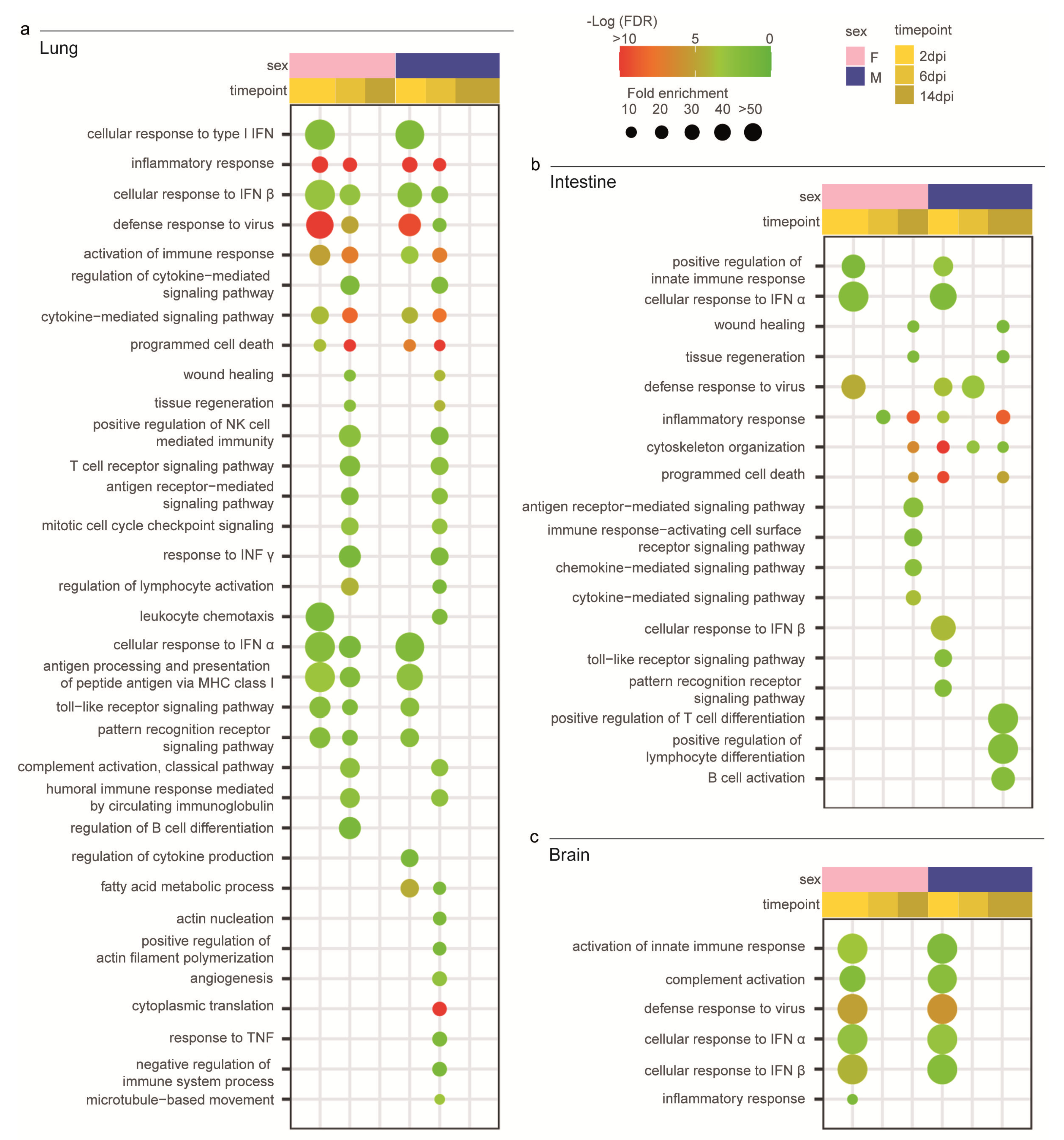 Viruses 15 00428 g004
