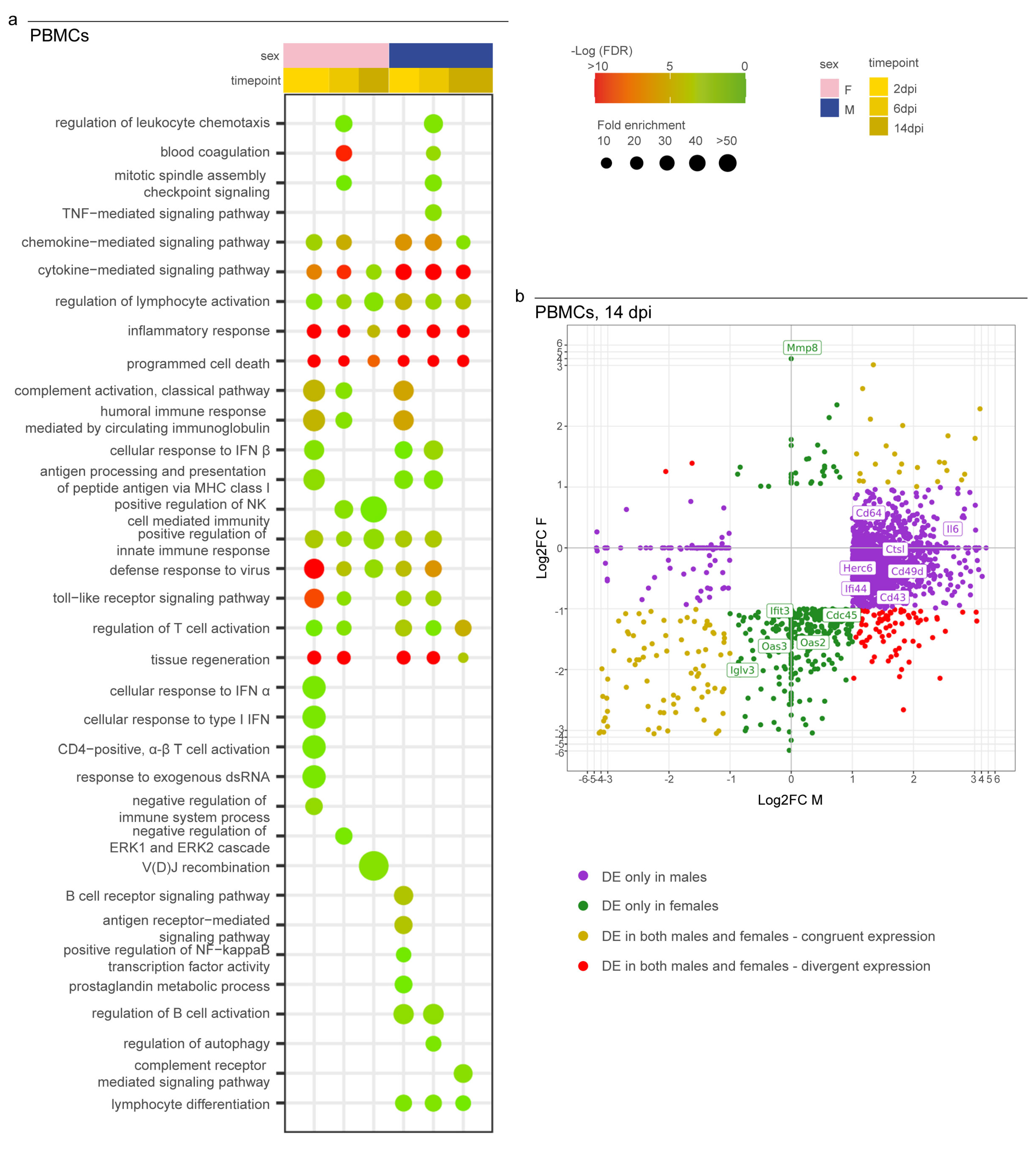 Viruses 15 00428 g005