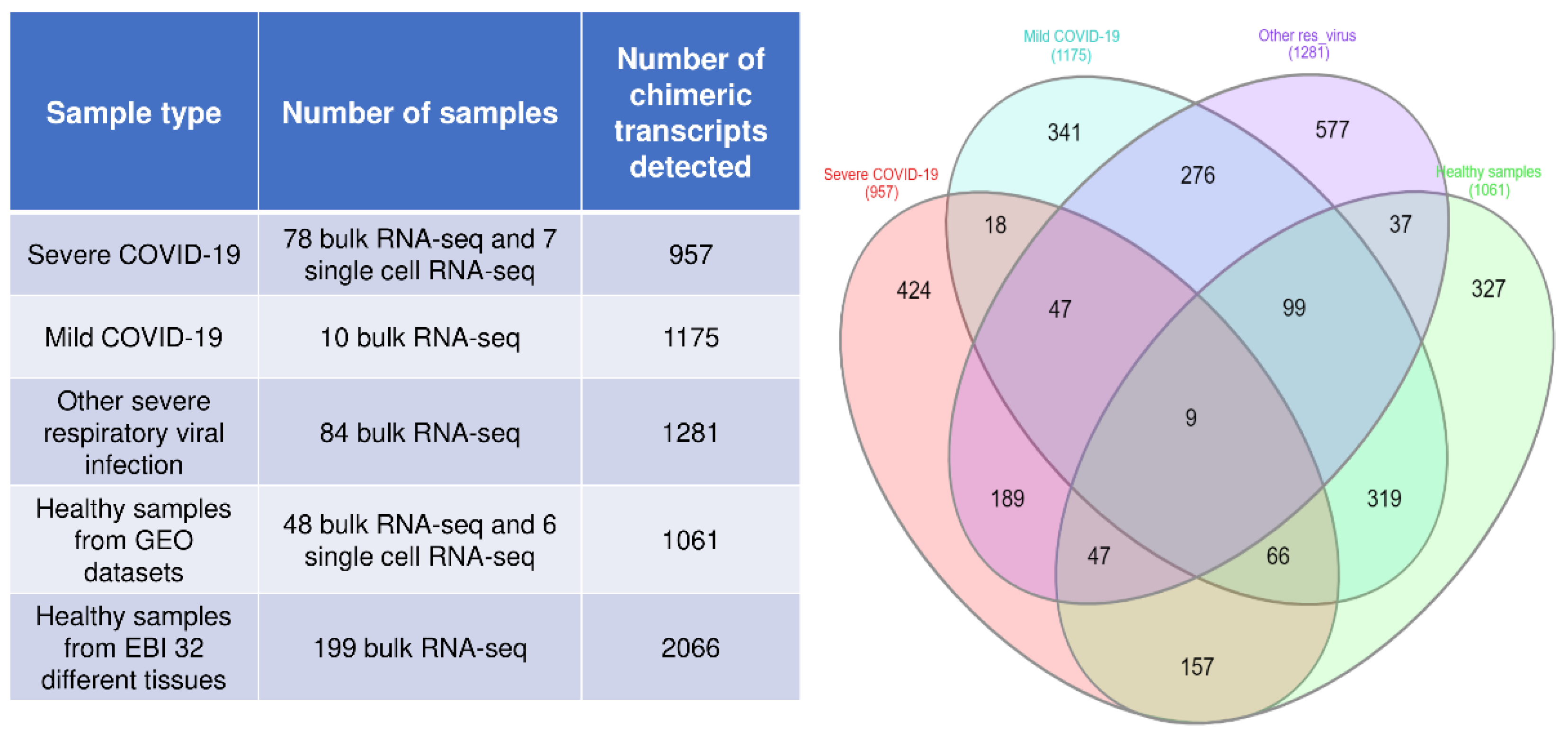 Viruses 15 00433 g001