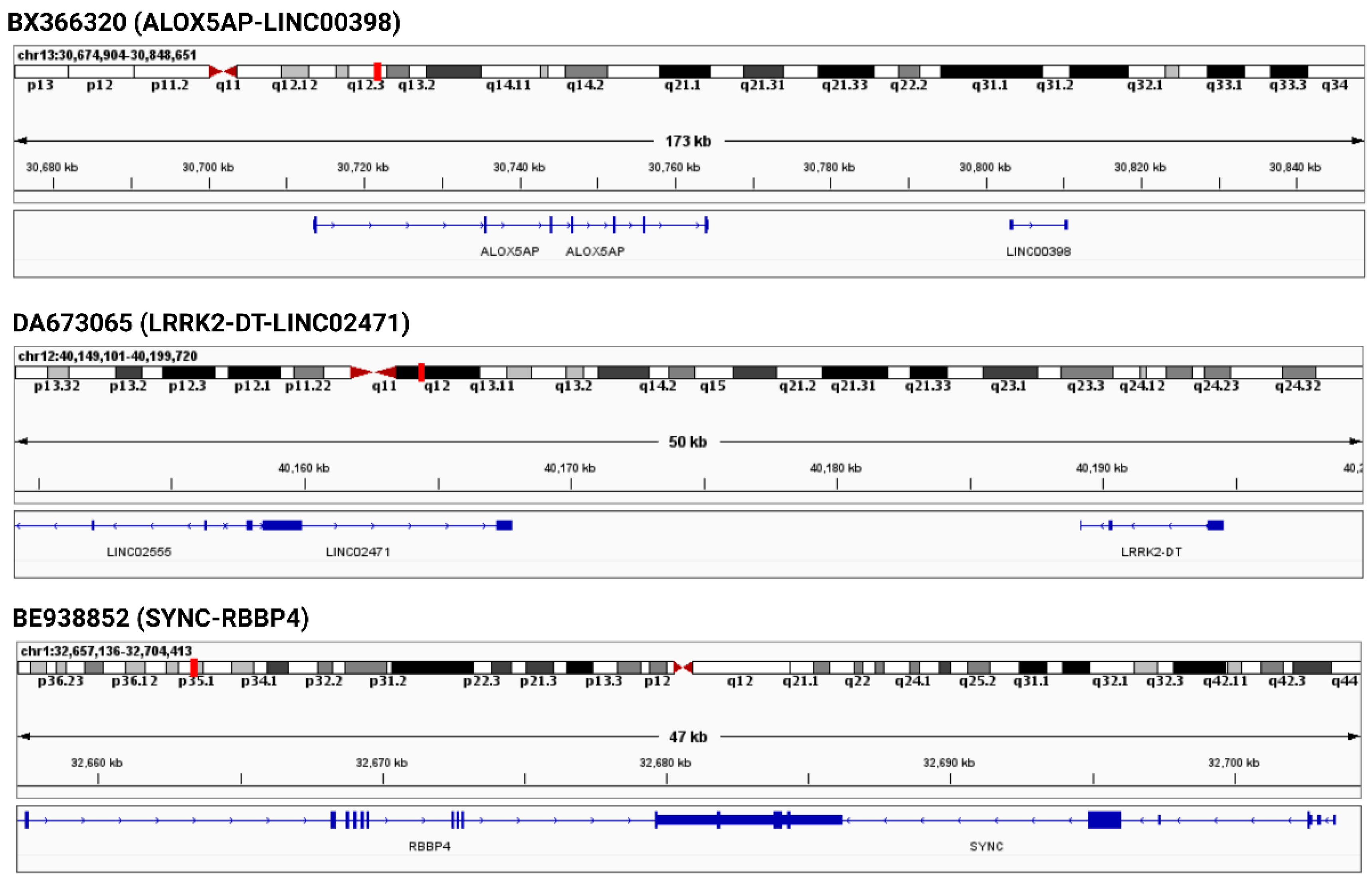 Viruses 15 00433 g003