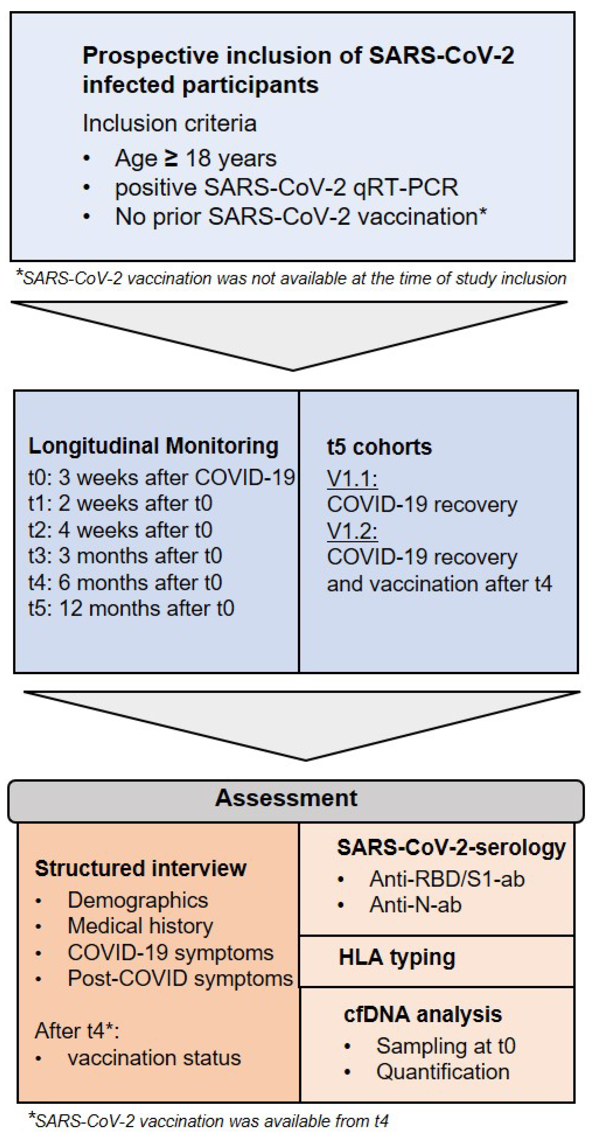 Viruses 15 00454 g002