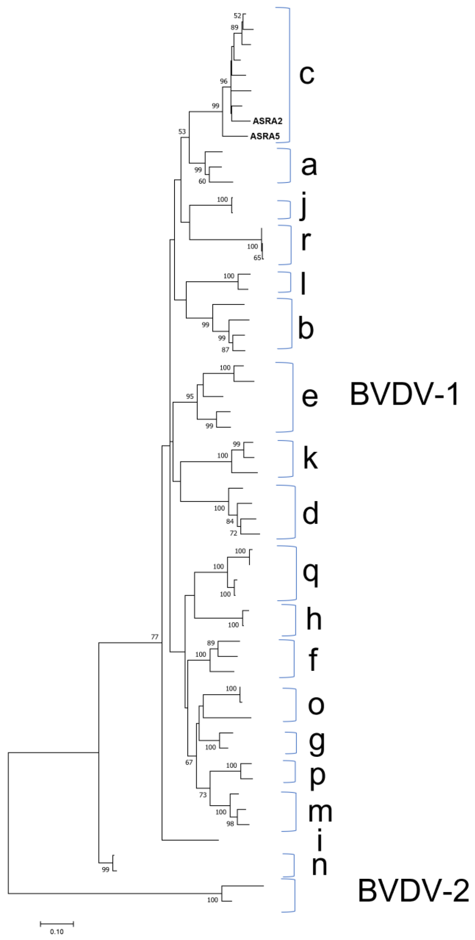 Viruses | Free Full-Text | Characterisation of the Upper Respiratory Tract  Virome of Feedlot Cattle and Its Association with Bovine Respiratory Disease