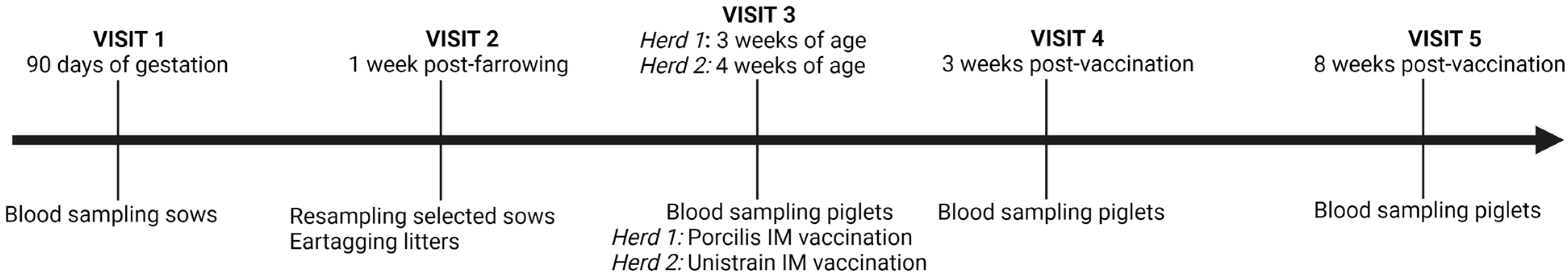Viruses 15 00479 g001 Viruses 15 00479 g001