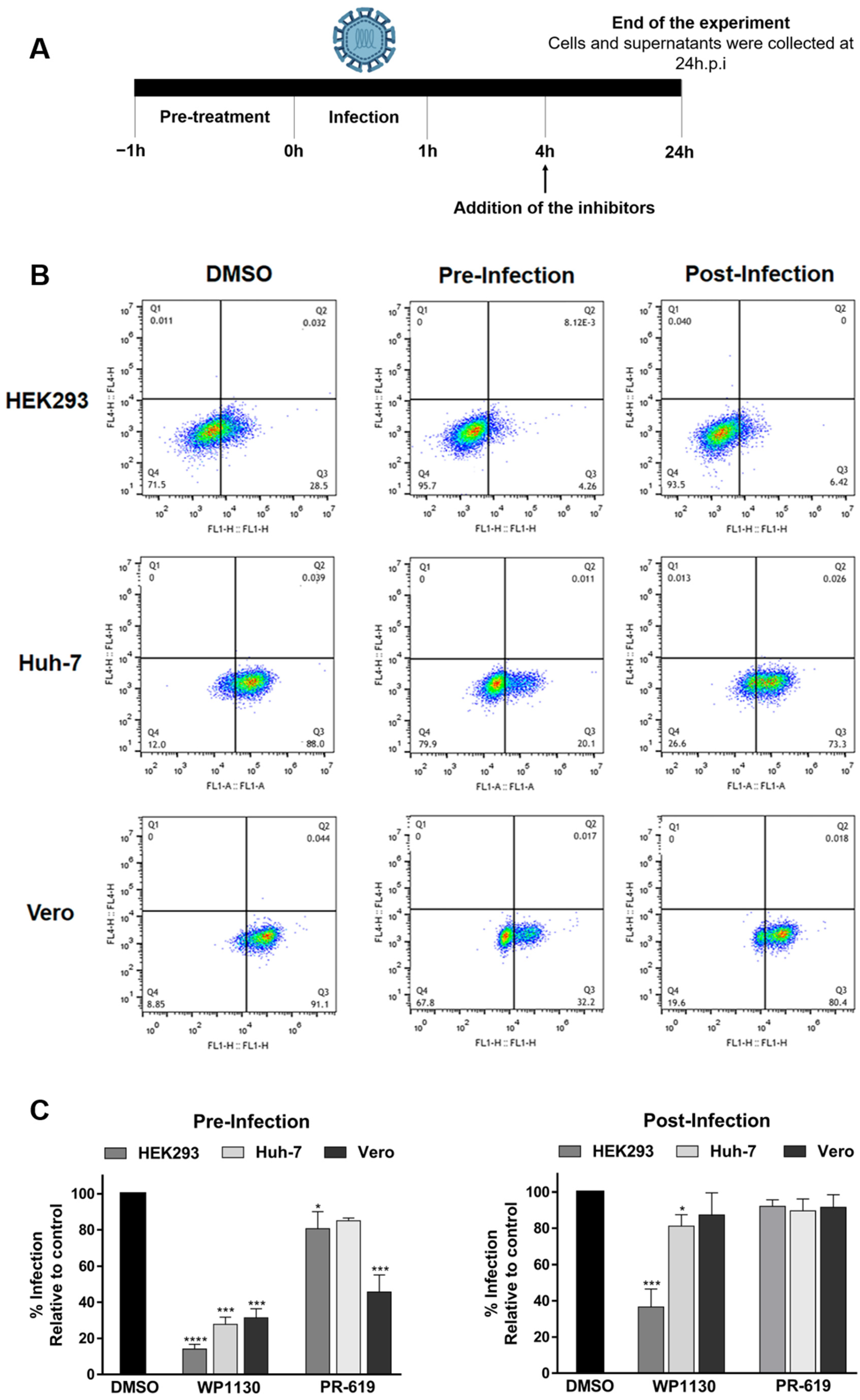 Viruses 15 00481 g003