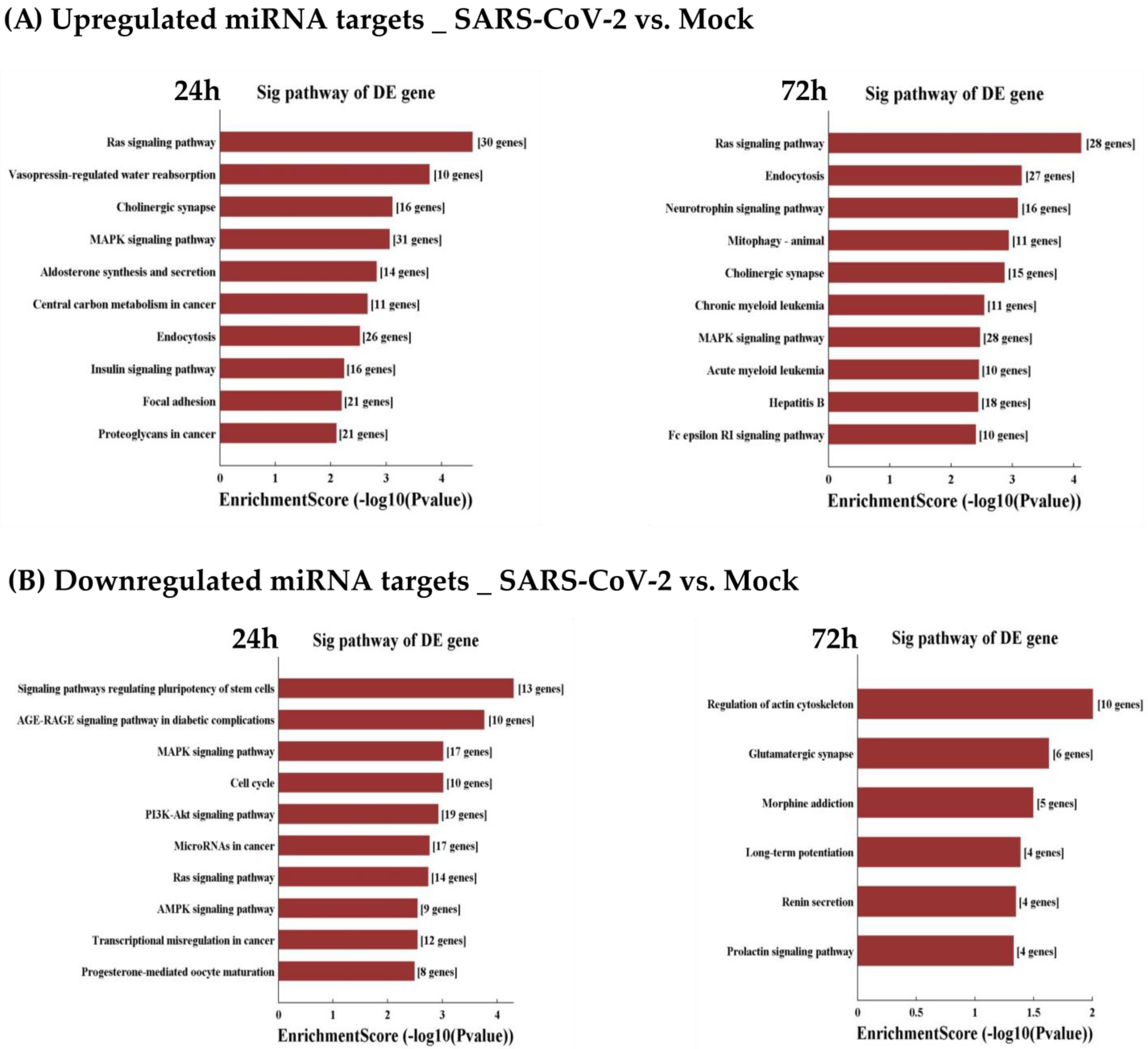 Viruses 15 00496 g008