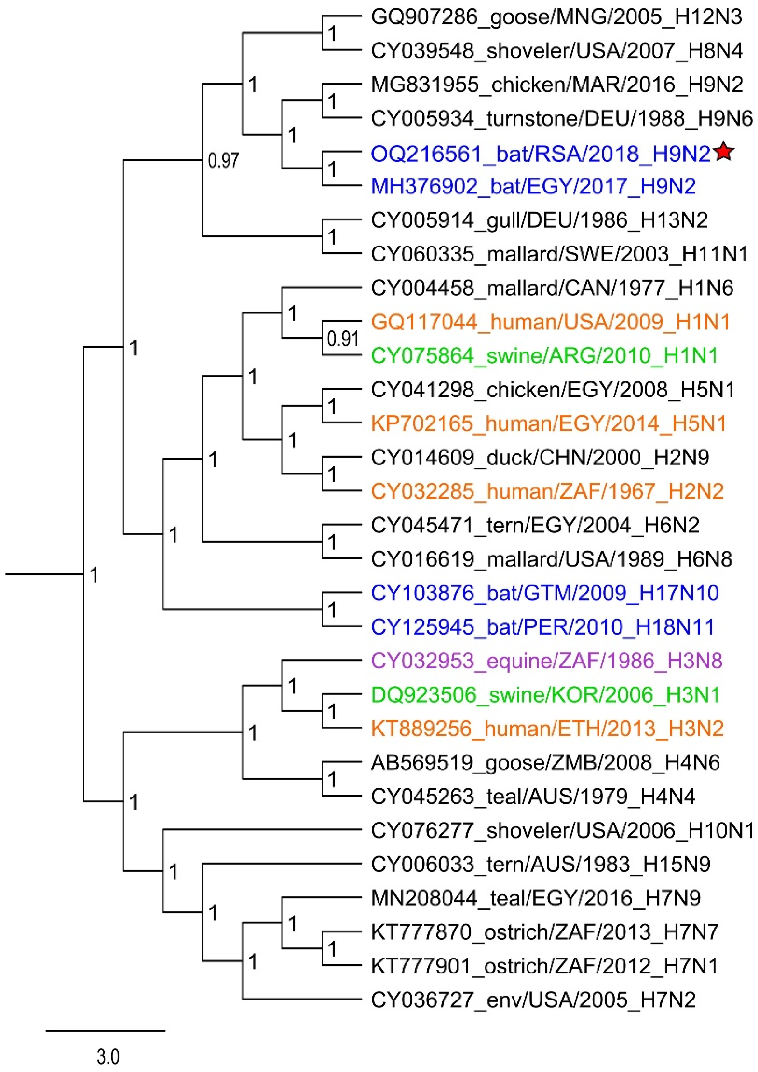 Viruses 15 00498 g002 Viruses 15 00498 g002