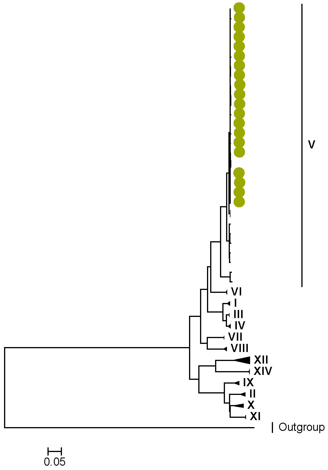 Viruses 15 00501 g003 Viruses 15 00501 g003