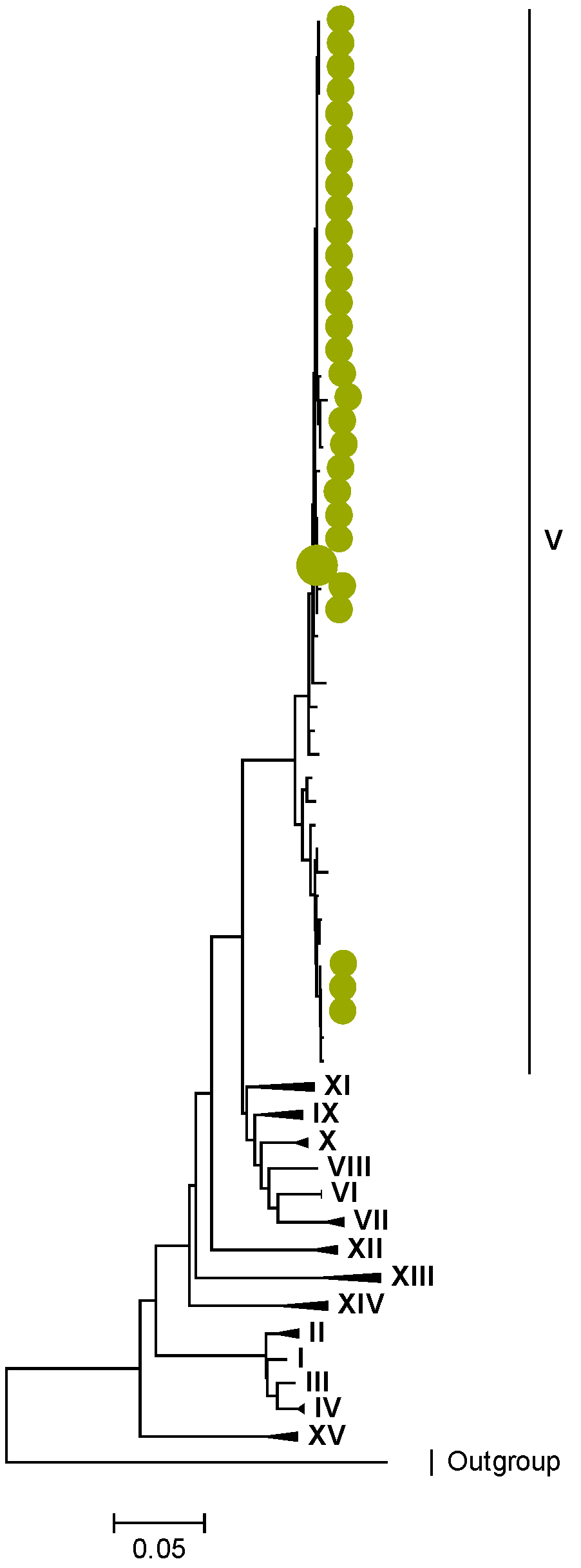 Viruses 15 00501 g005 Viruses 15 00501 g005
