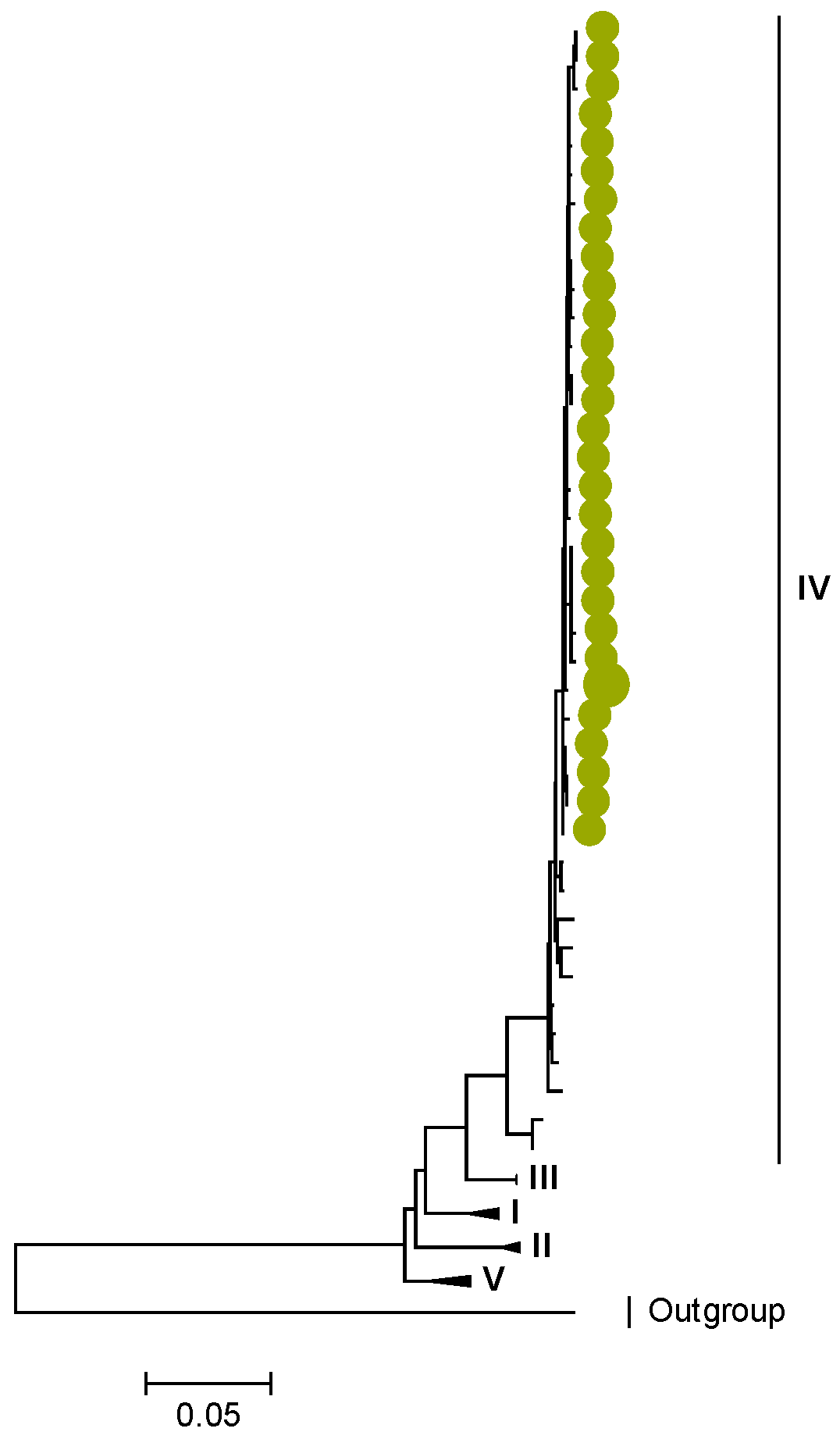 Viruses 15 00501 g007 Viruses 15 00501 g007