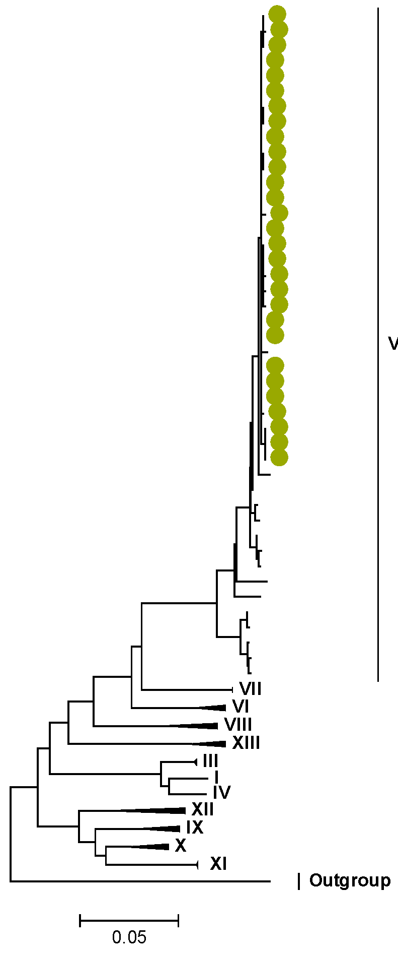 Viruses 15 00501 g008 Viruses 15 00501 g008