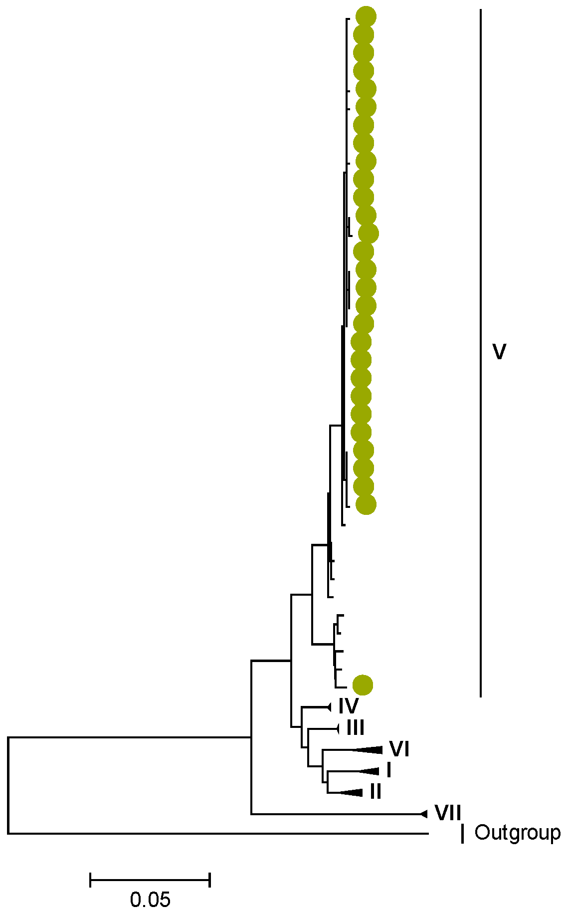 Viruses 15 00501 g009 Viruses 15 00501 g009