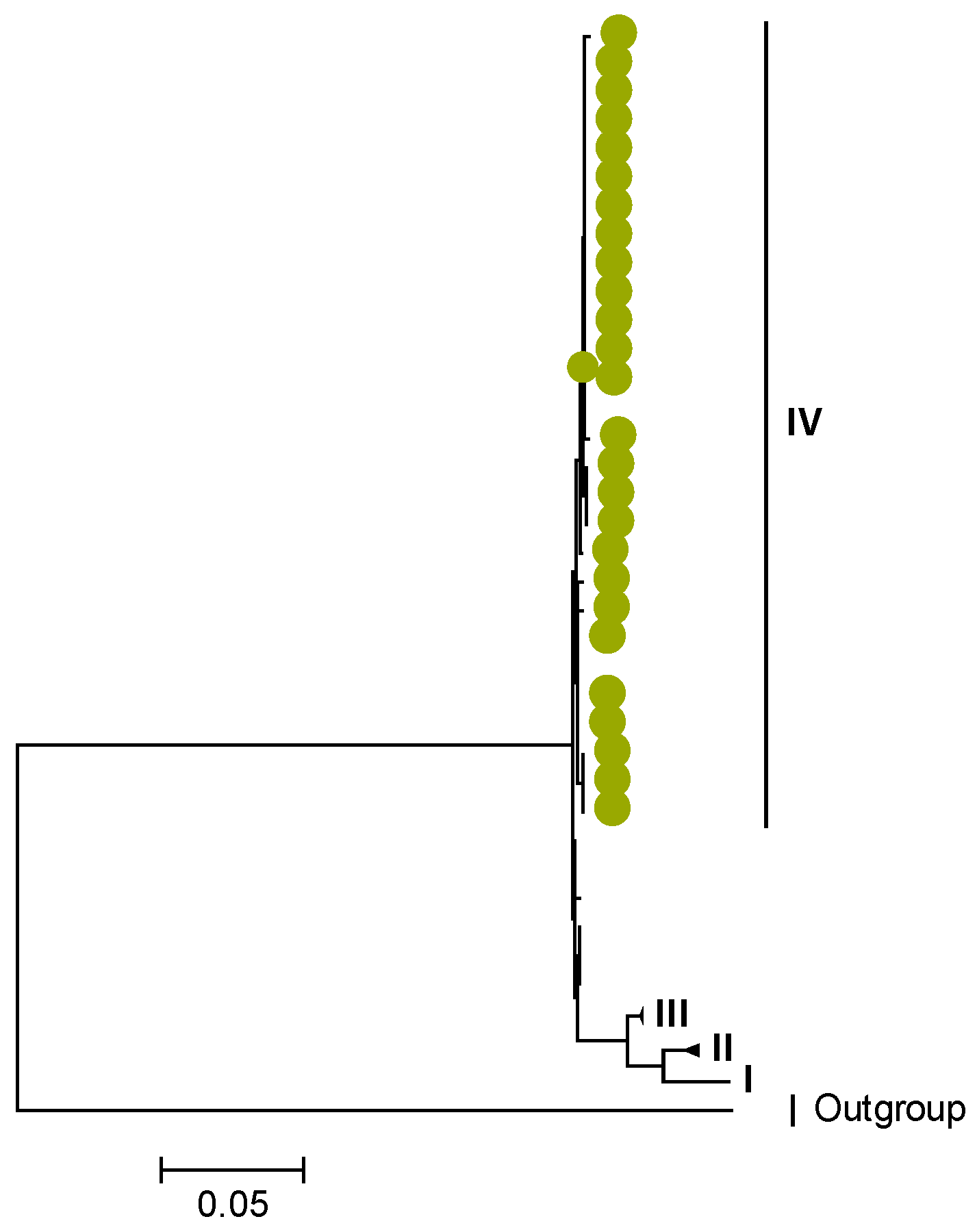 Viruses 15 00501 g011 Viruses 15 00501 g011