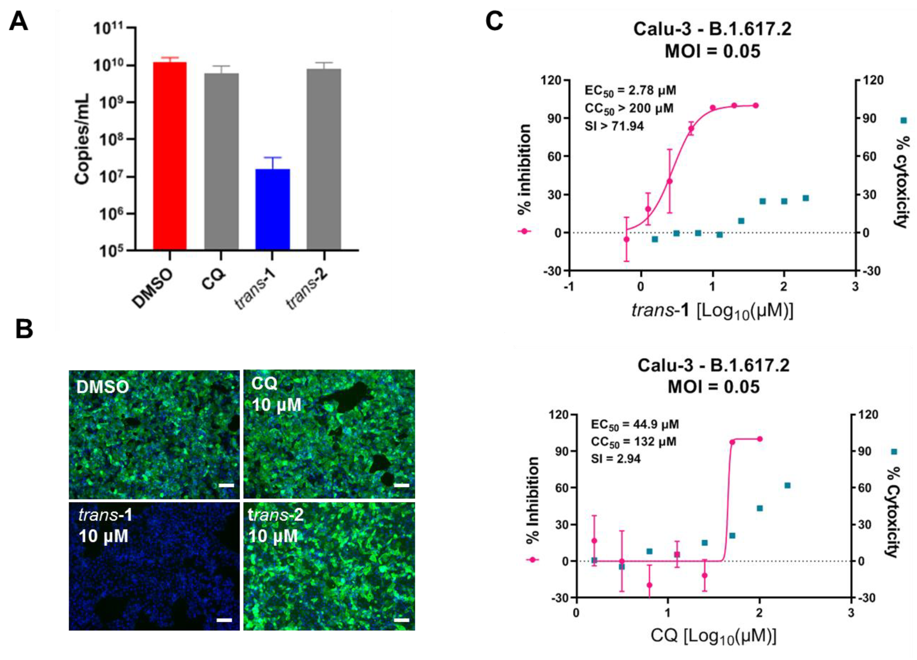 Viruses 15 00502 g004