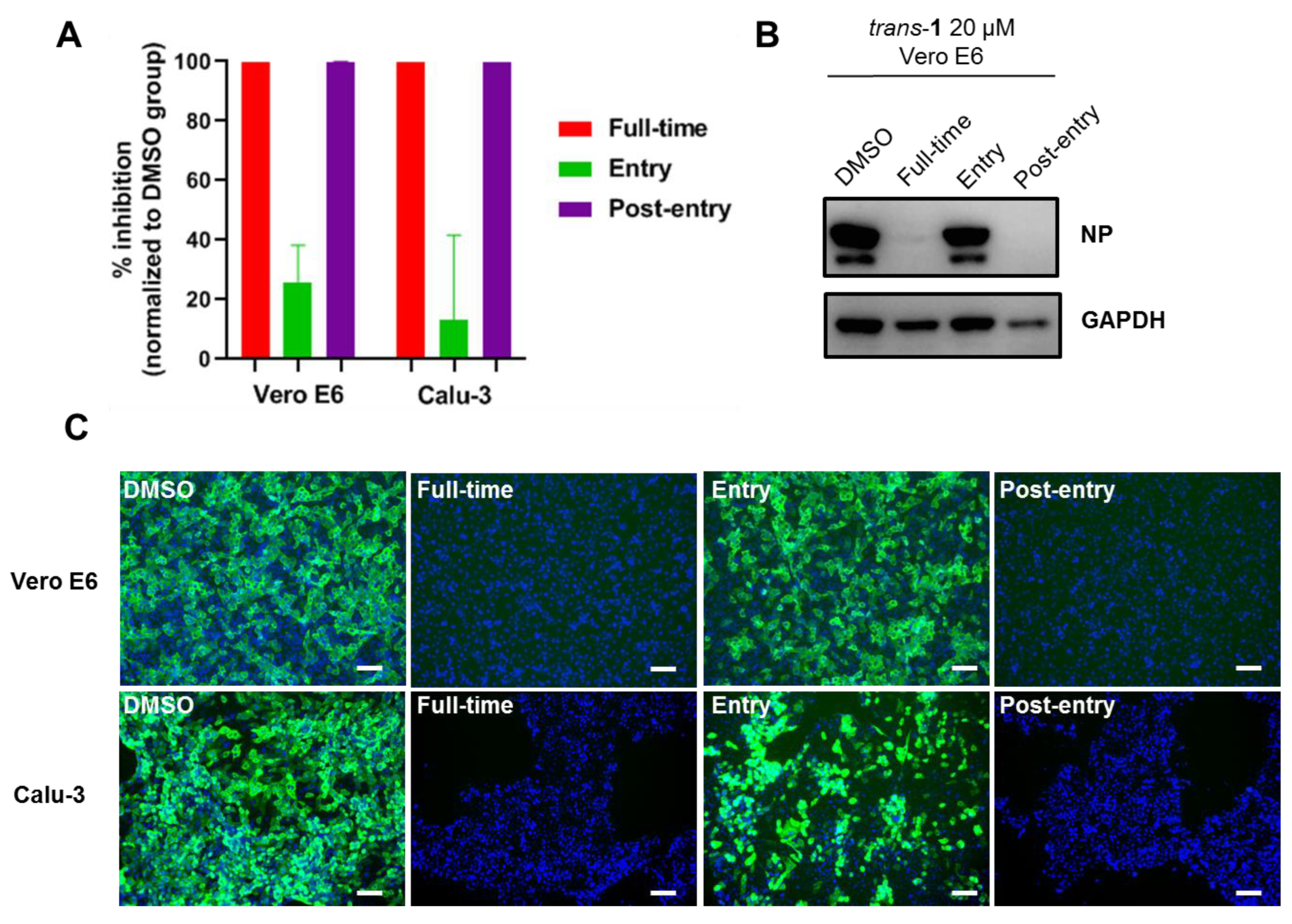 Viruses 15 00502 g005