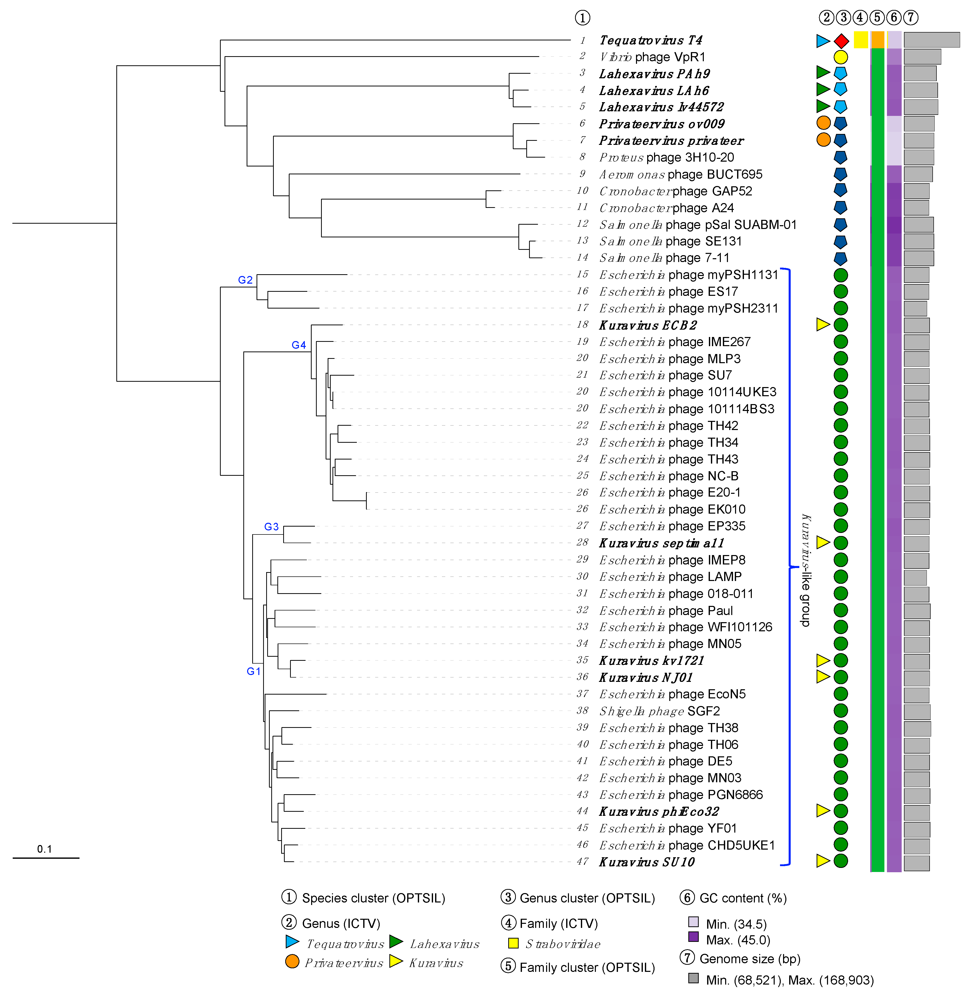 Viruses 15 00506 g004
