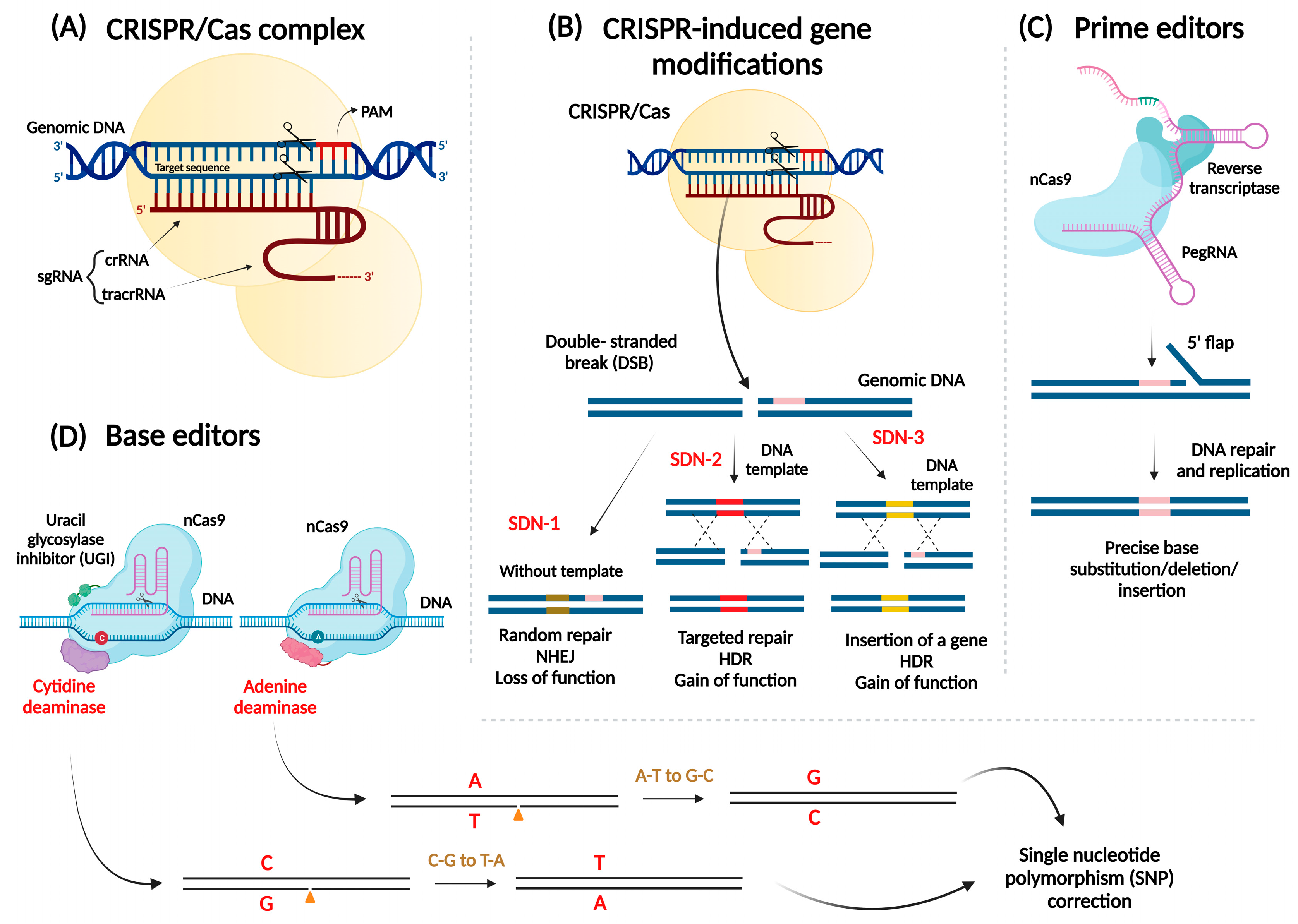 Viruses 15 00531 g001