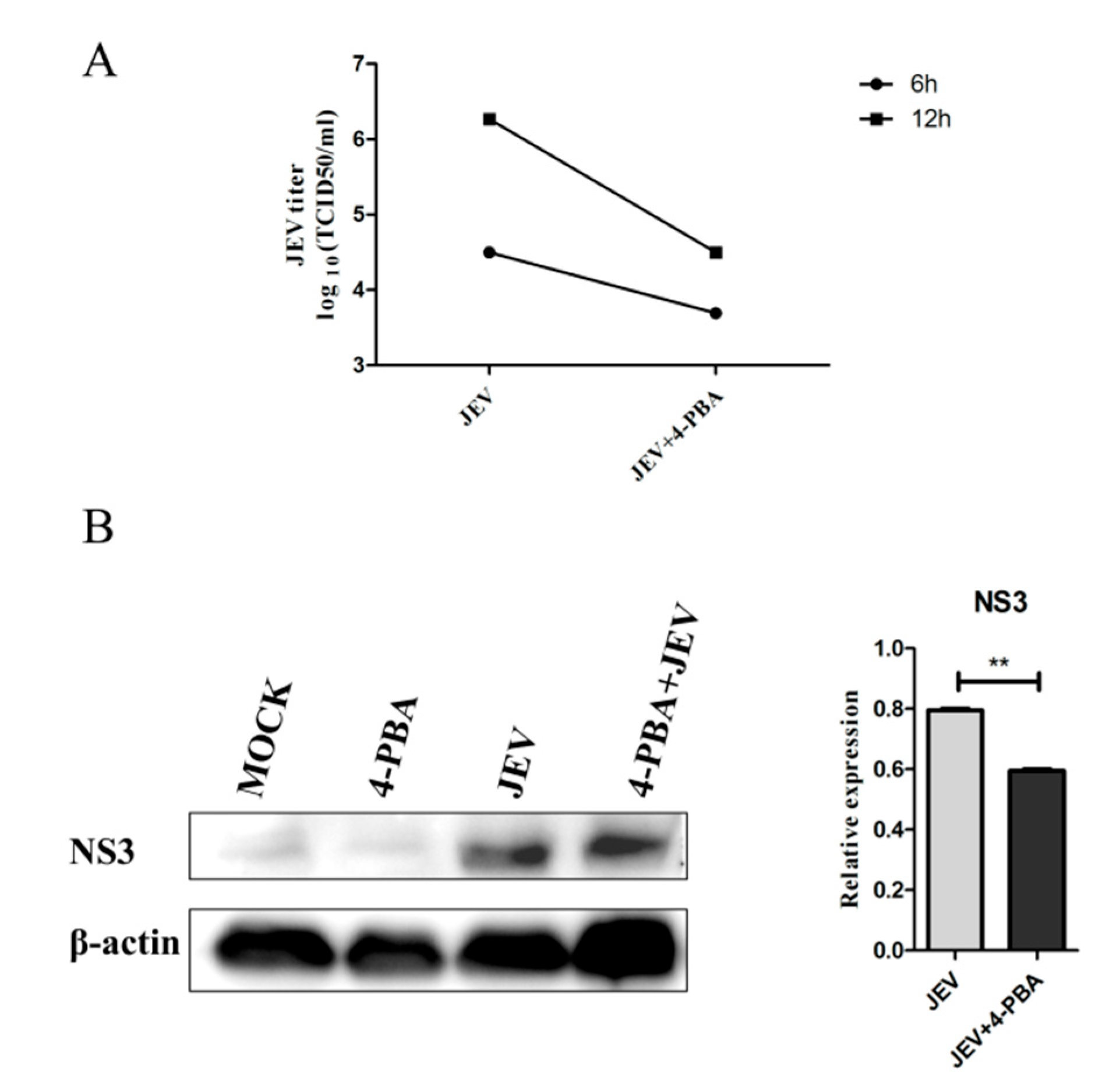Viruses 15 00534 g001