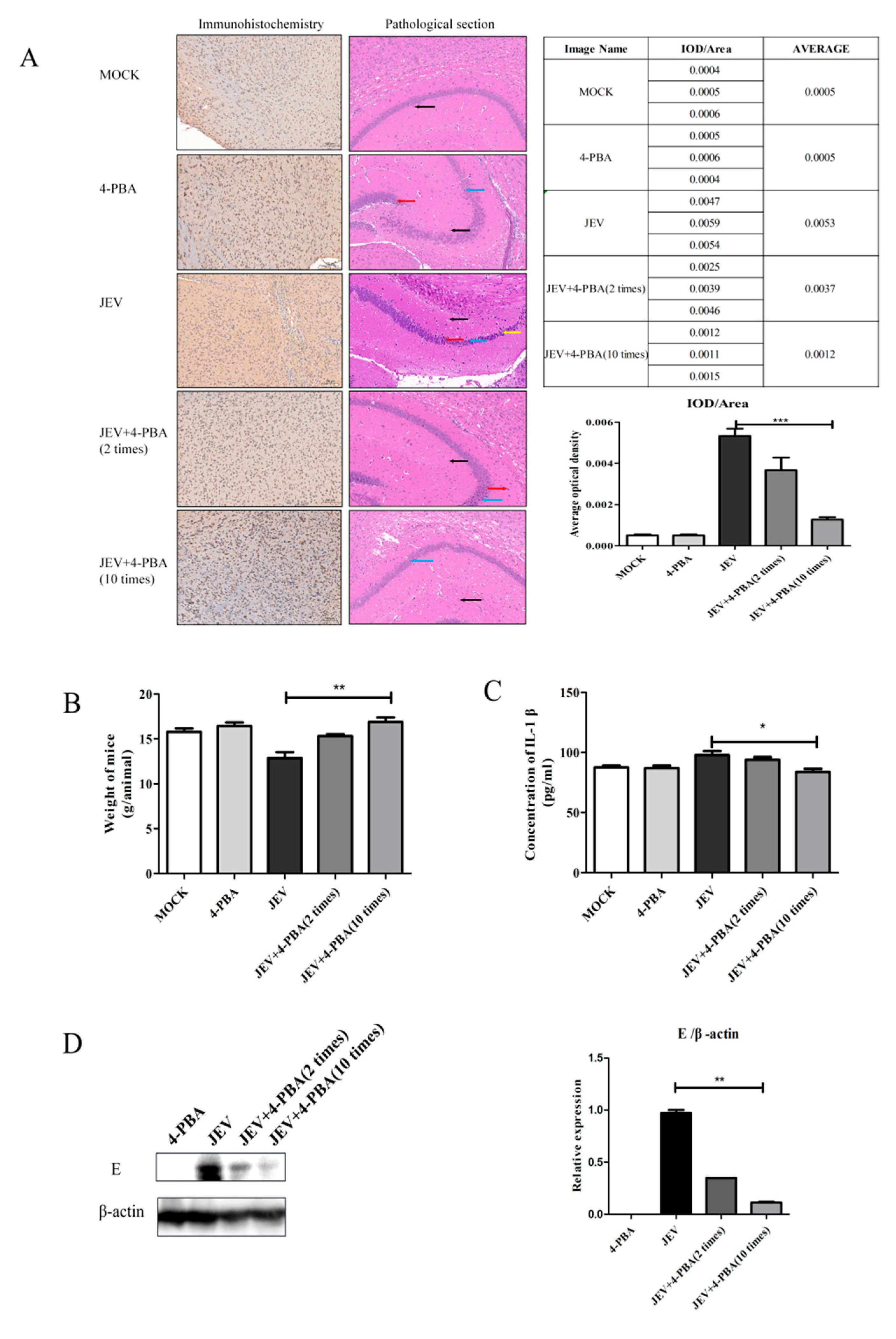 Viruses 15 00534 g002